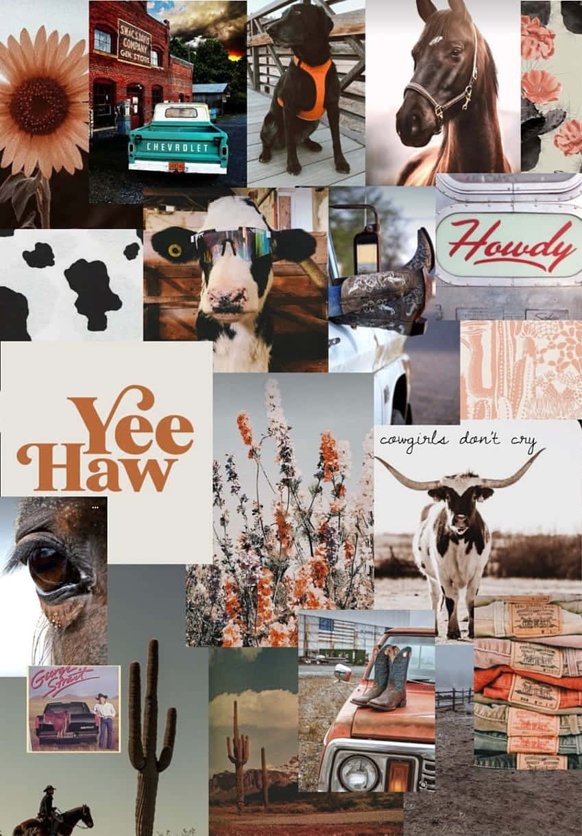 Country Aesthetic 桌布 壁紙 — 一幅充滿活力的牛仔文化拼貼畫， featuring 馬匹、仙人掌、復古卡車和向日葵，以溫暖的沙漠色調呈現。