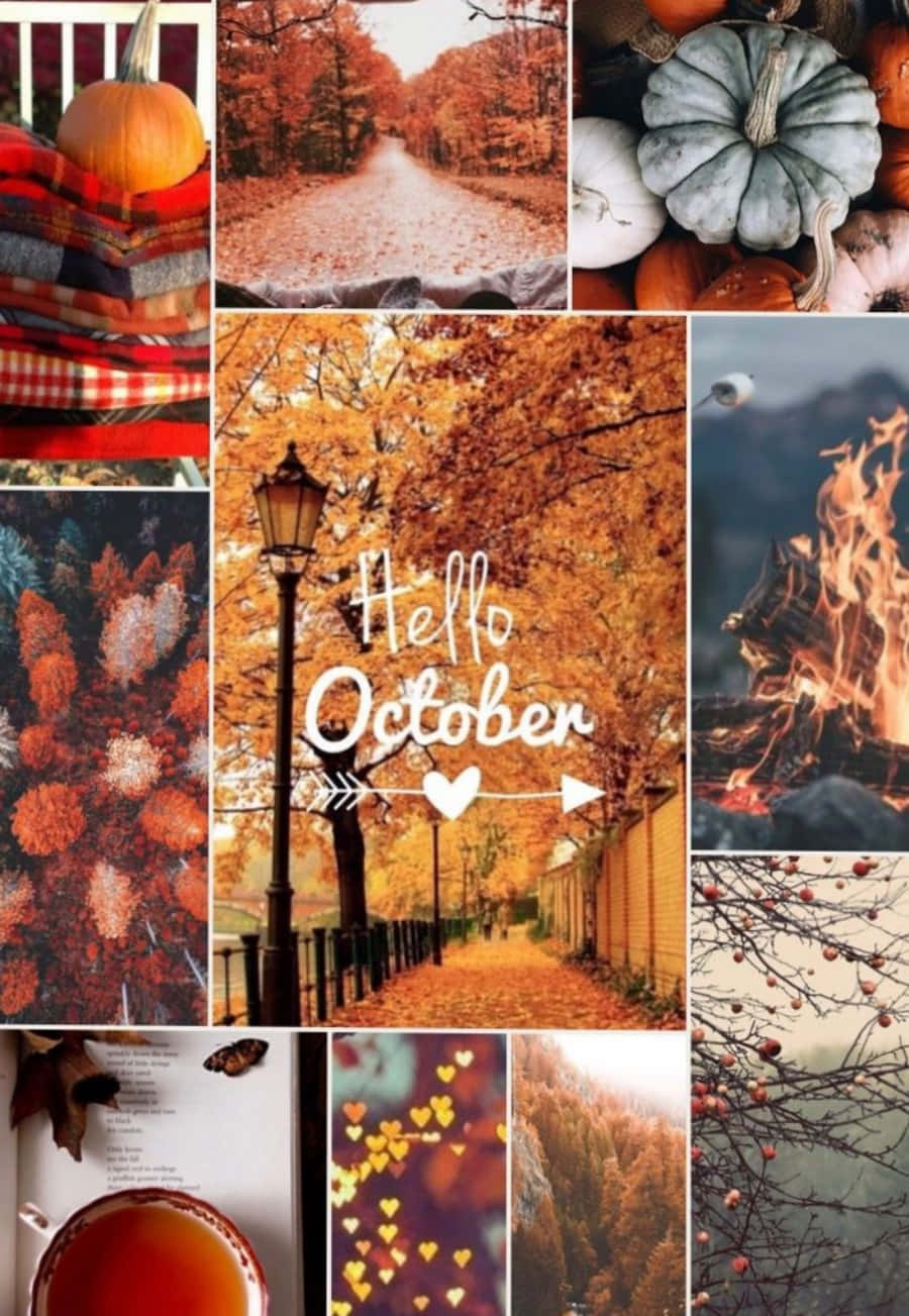 Autumn Leaves 桌布 壁紙 — 一幅充滿活力的秋季拼貼畫， featuring 南瓜、舒適的毯子、落葉和金黃樹下的溫暖營火。