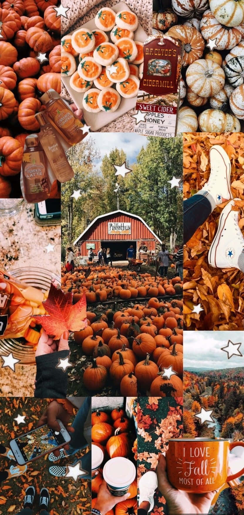 Autumn Collage 桌布 壁紙 — 一幅充滿活力的秋季拼貼畫， featuring 南瓜、蘋果酒、楓糖漿和秋葉，搭配質樸的穀倉和舒適的馬克杯。