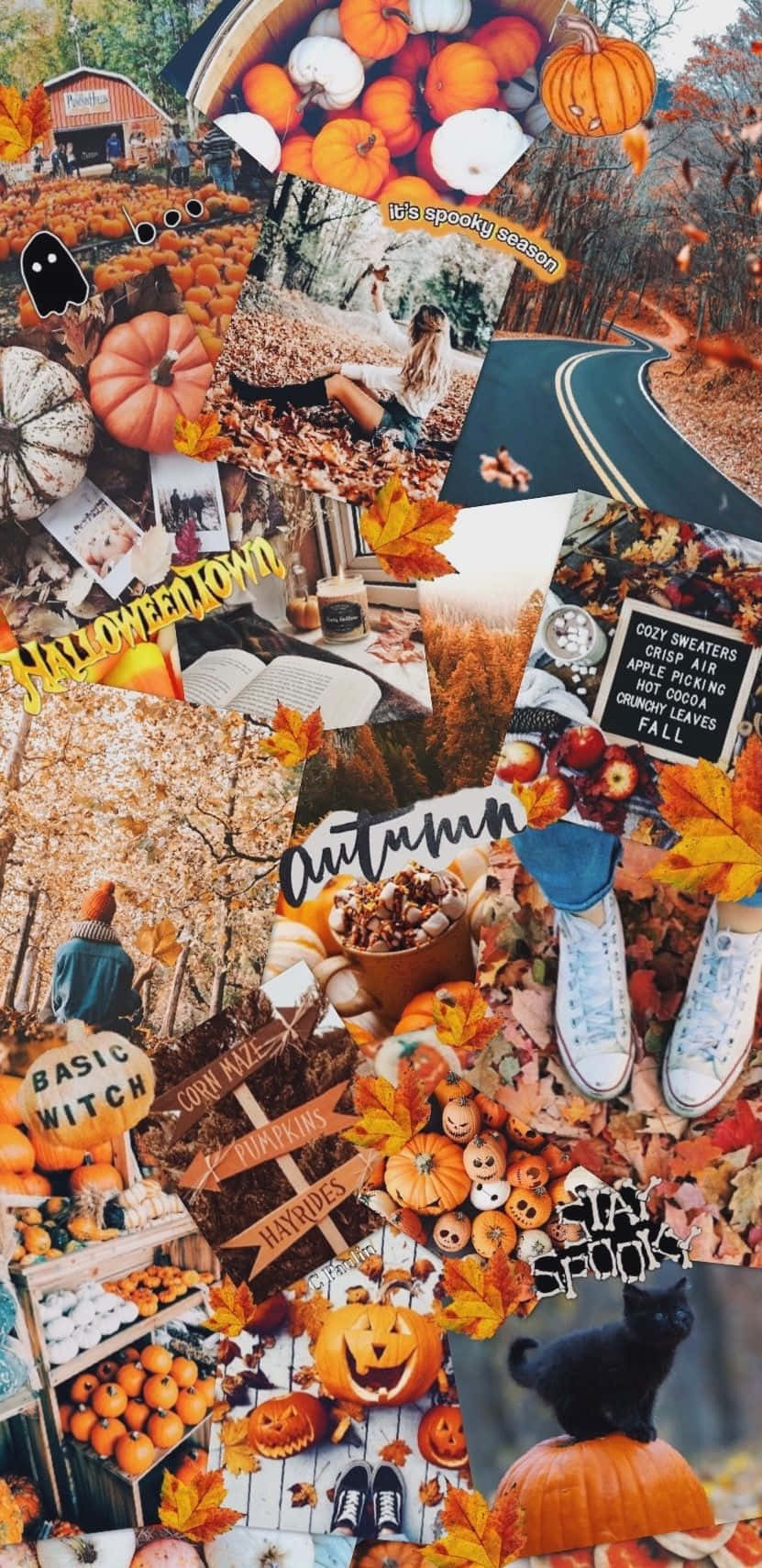 Autumn Collage 桌布 壁紙 — 一幅充滿活力的秋季拼貼畫，以溫暖的橙色、棕色和金色色調呈現南瓜、落葉、舒適的毛衣和萬聖節裝飾。