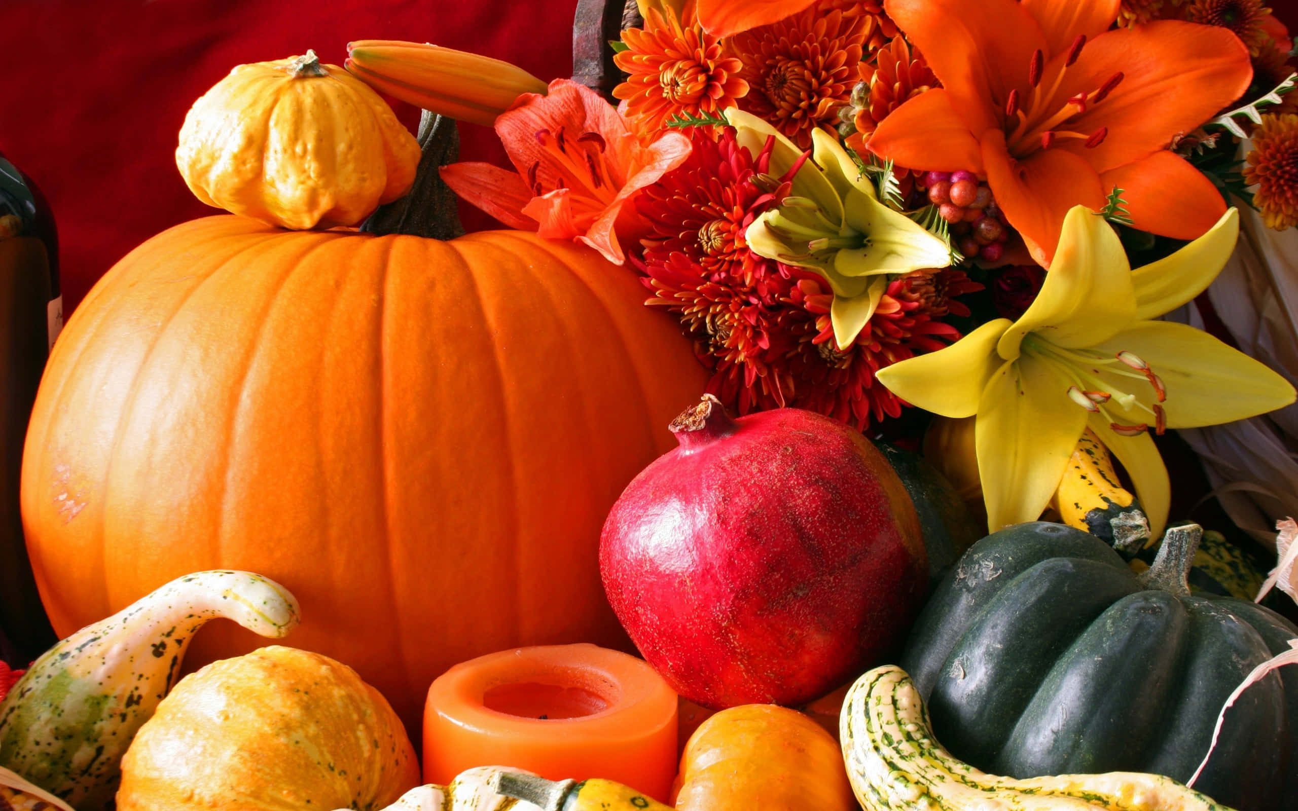pumpkins 桌布 壁紙 — 一幅充滿活力的秋季靜物畫，以深紅色背景襯托南瓜、石榴和色彩繽紛的花朵。