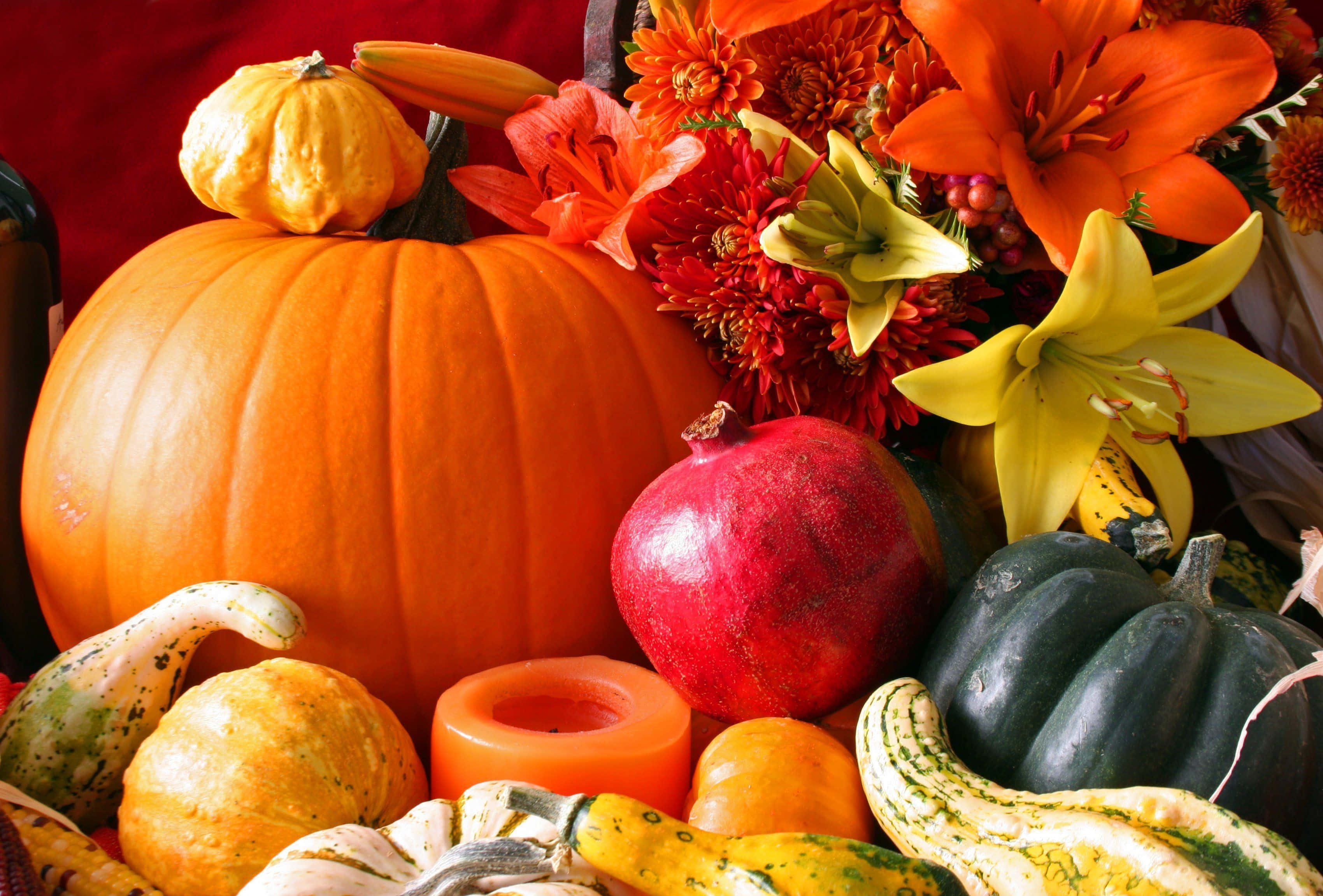 Fall Harvest 桌布 壁紙 — 一幅充滿活力的秋季靜物畫，以深紅色背景襯托南瓜、葫蘆和色彩繽紛的花朵。