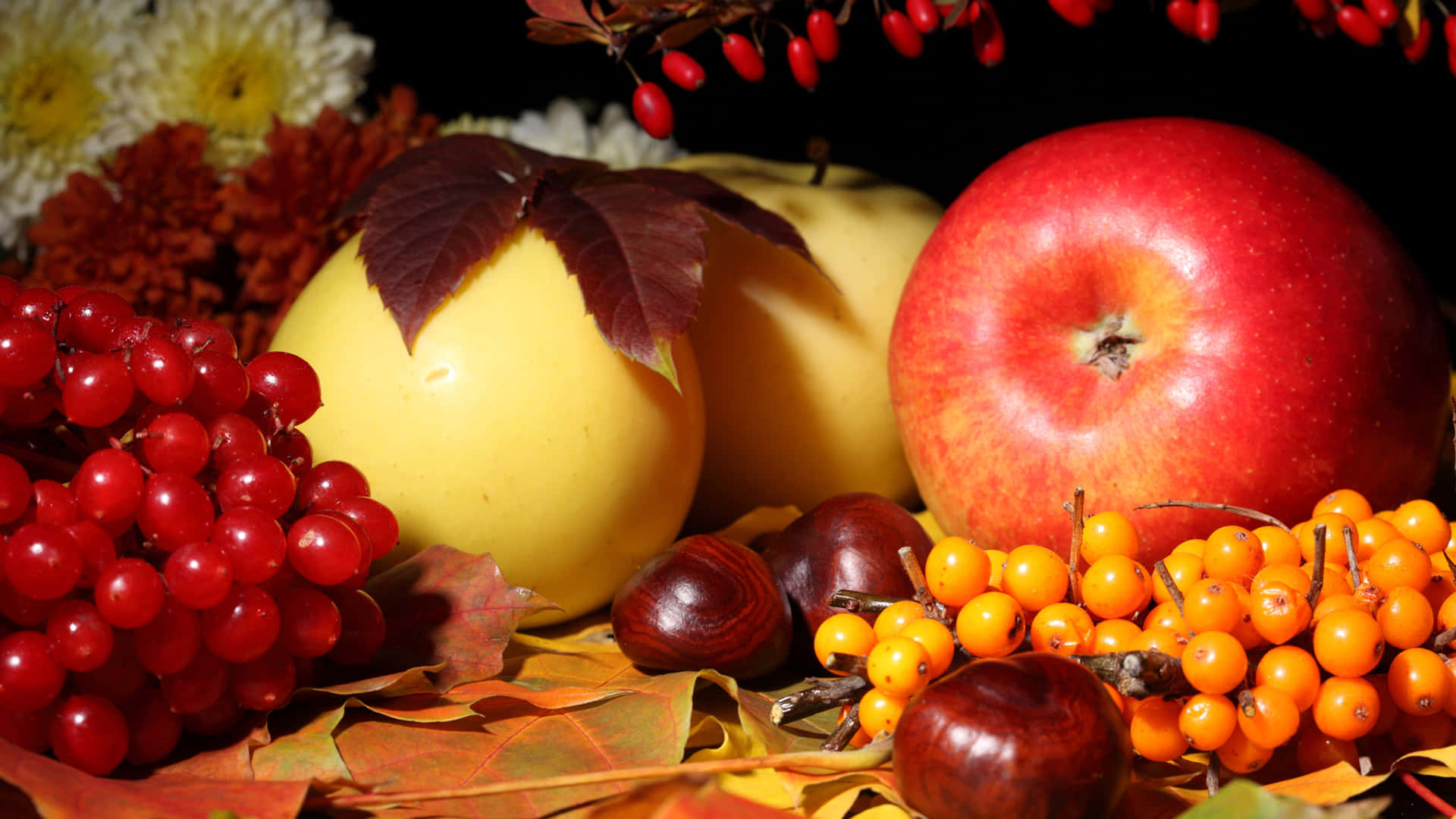 Autumn Food 桌布 壁紙 — 一幅充滿活力的秋季靜物畫，紅蘋果、紅醋栗、橙色漿果和栗子藏在色彩繽紛的落葉中。