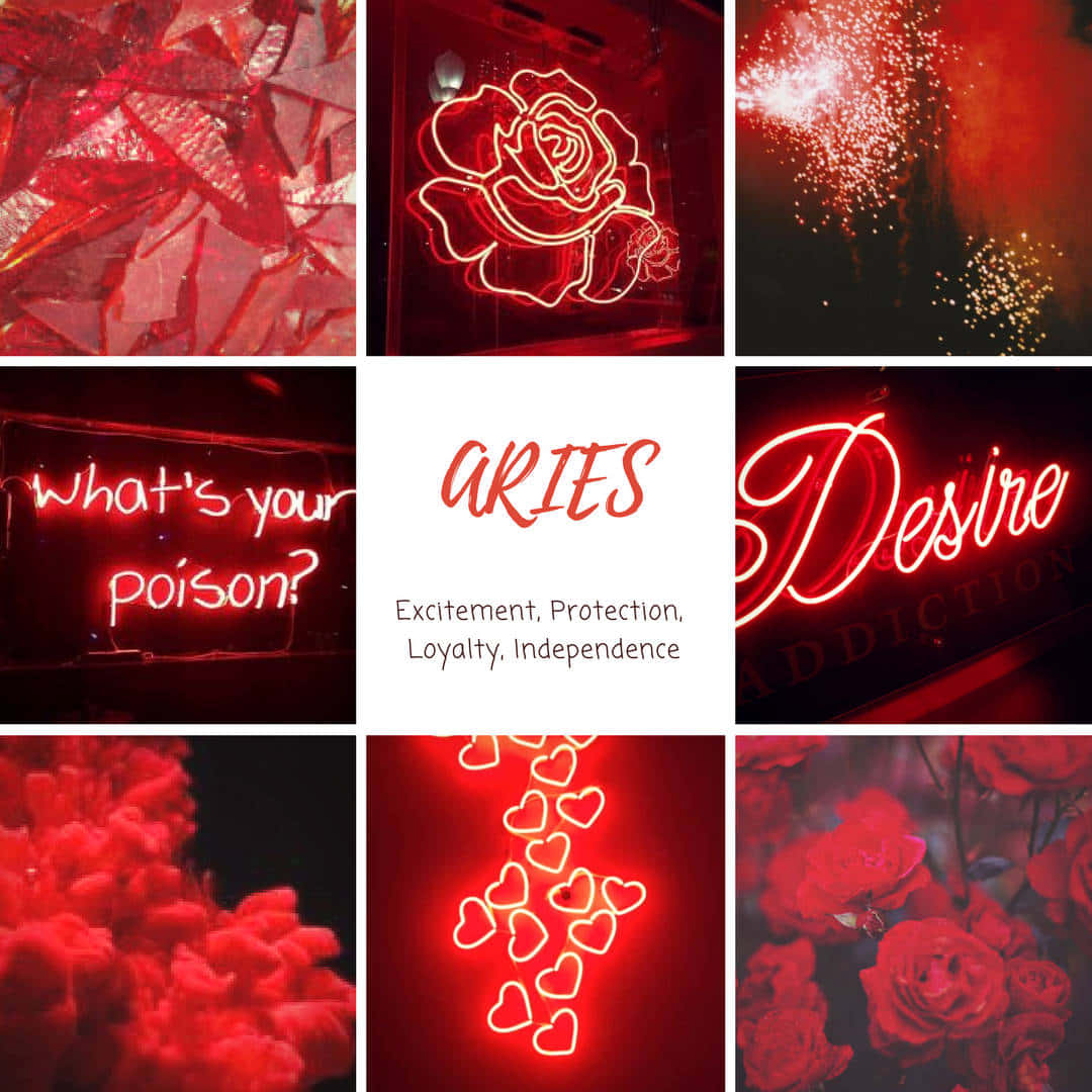 Red Collage 桌布 壁紙 — 一幅充滿活力的紅色霓虹拼貼畫，玫瑰、心形和文字短語在深色背景上發光。