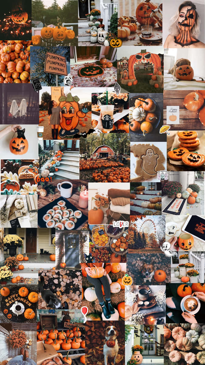 Fall Collage 桌布 壁紙 — 一幅充滿活力的萬聖節主題南瓜拼貼畫，呈現各種形式、裝飾和場景，營造出節日般的秋季氛圍。