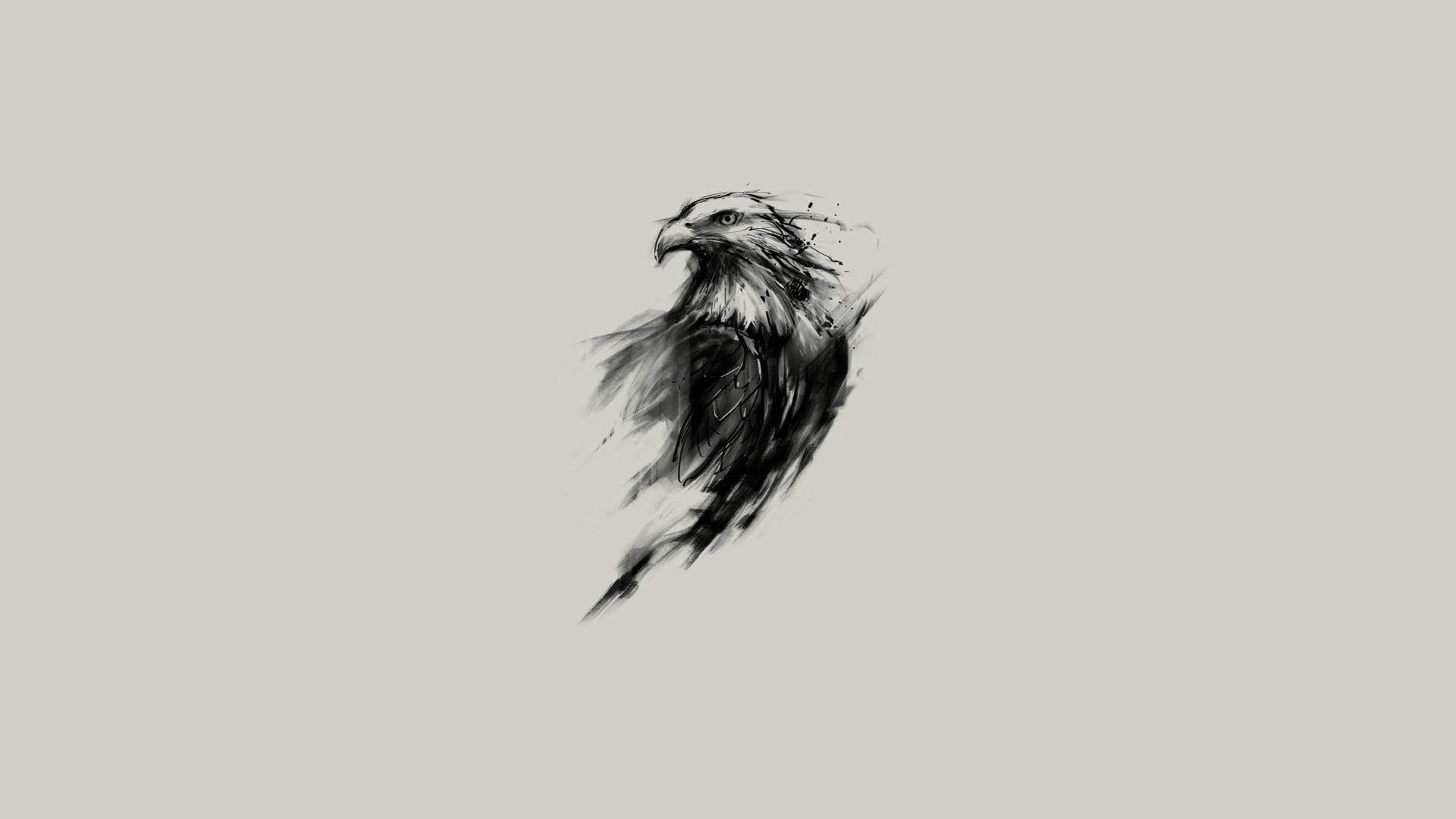 動物 桌布 壁紙 — 一幅動態的黑白墨水插圖，描繪一隻鷹頭在柔和的灰色背景上移動。