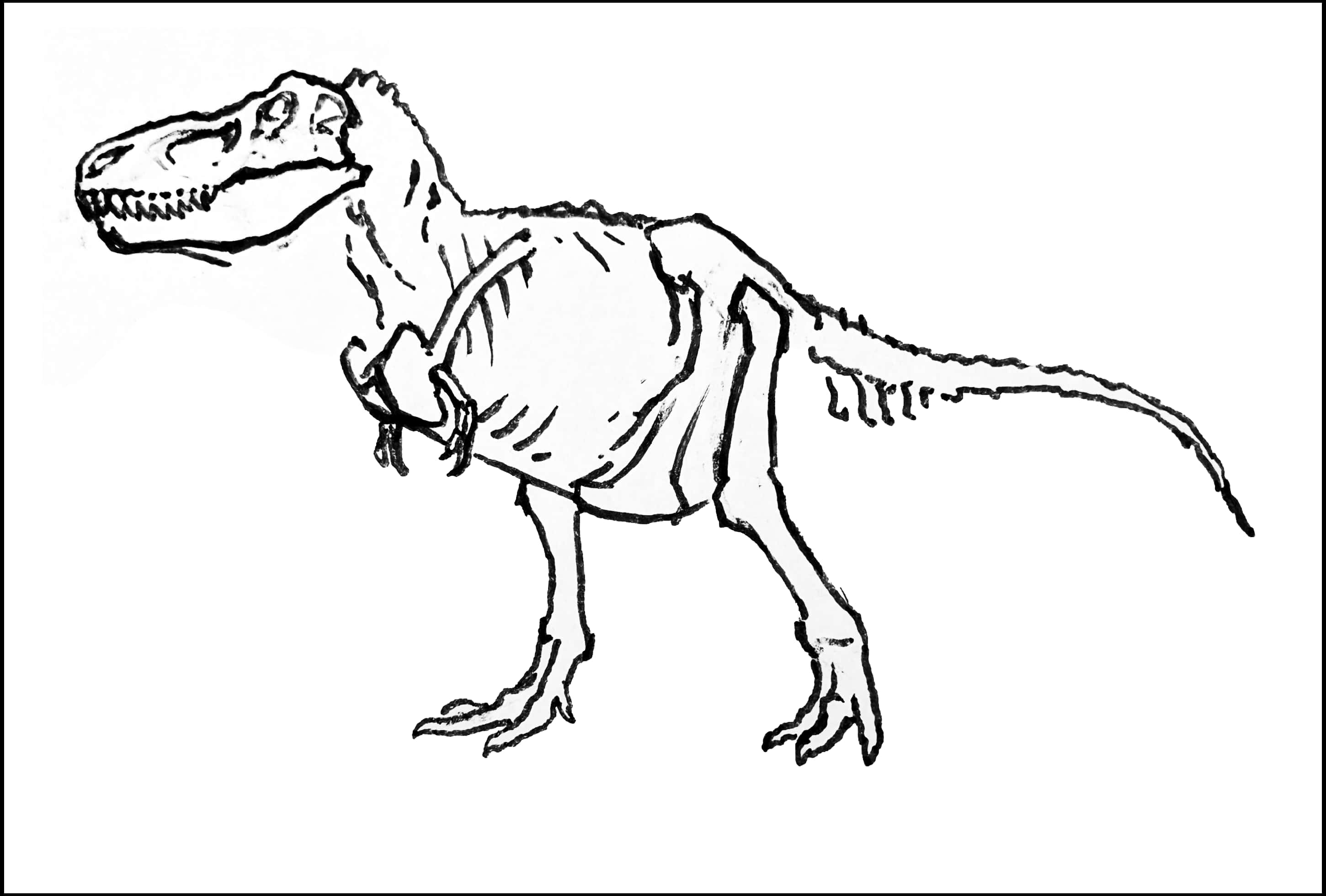 Dinosaur Drawing 桌布 壁紙 — 一幅動態黑白線條畫，描繪暴龍的側面，擁有鋒利的牙齒和紋理皮膚。