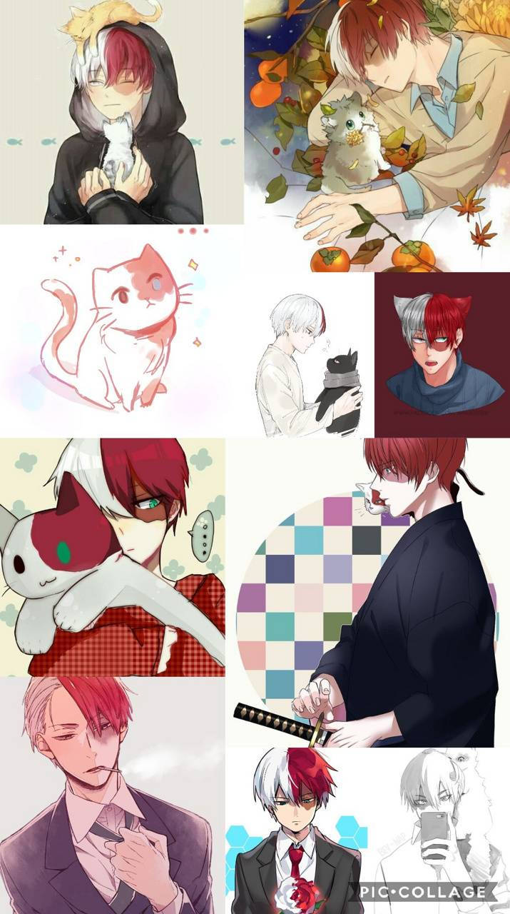 轟焦凍可愛 桌布 壁紙 — 一幅動漫風格插圖的拼貼畫，描繪紅髮和白髮角色與貓咪在舒適多彩的場景中。