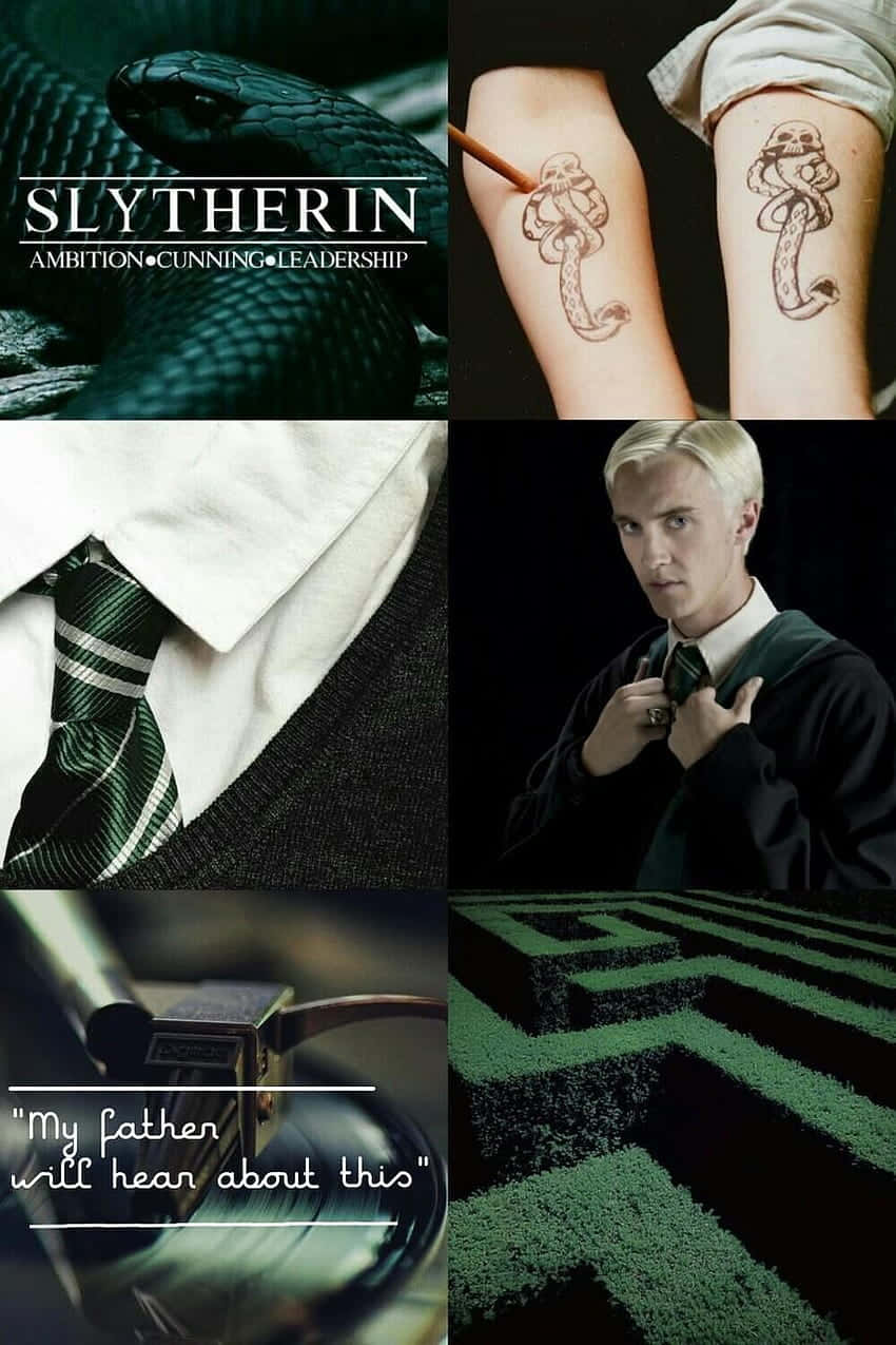 Cute Slytherin 桌布 壁紙 — 一幅史萊哲林主題圖像的拼貼畫，包括蛇、蛇紋身、綠色領帶、跩哥·馬份、魔杖和迷宮。