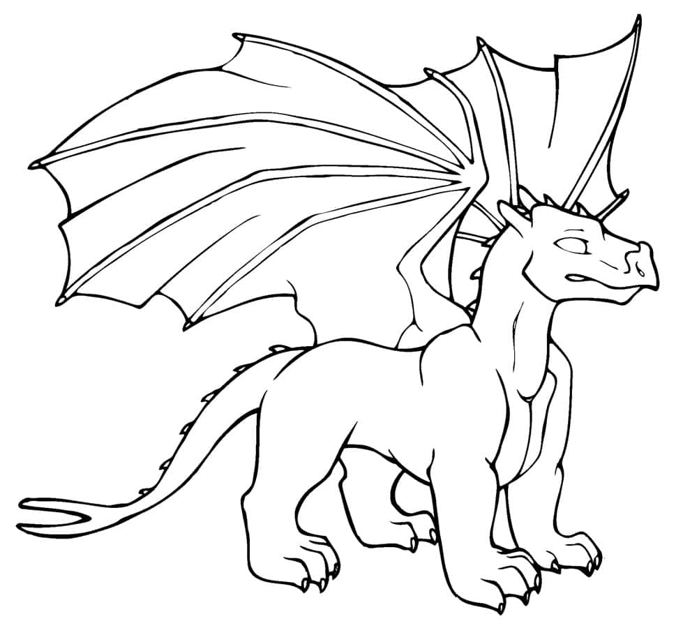 Dragon Coloring 桌布 壁紙 — 一幅大膽的黑色線條畫，描繪一隻站立、展開翅膀和長尾巴的龍，背景為純白色。