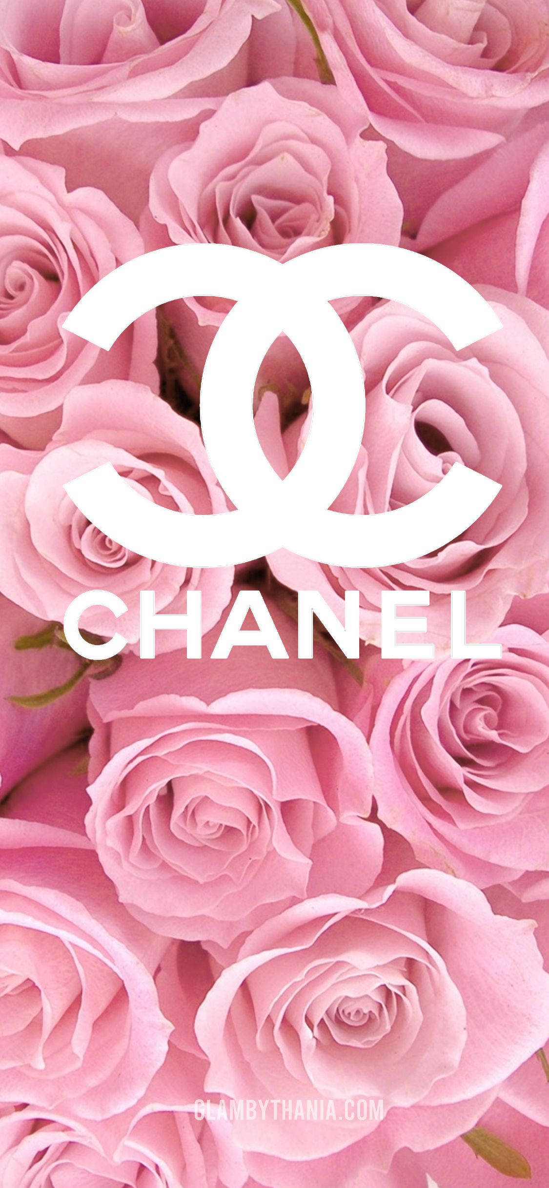 Pink Chanel Logo 桌布 壁紙 — 一幅奢華的桌布，以柔和的粉紅玫瑰為主題，中央突出顯示白色Chanel標誌和品牌名稱。