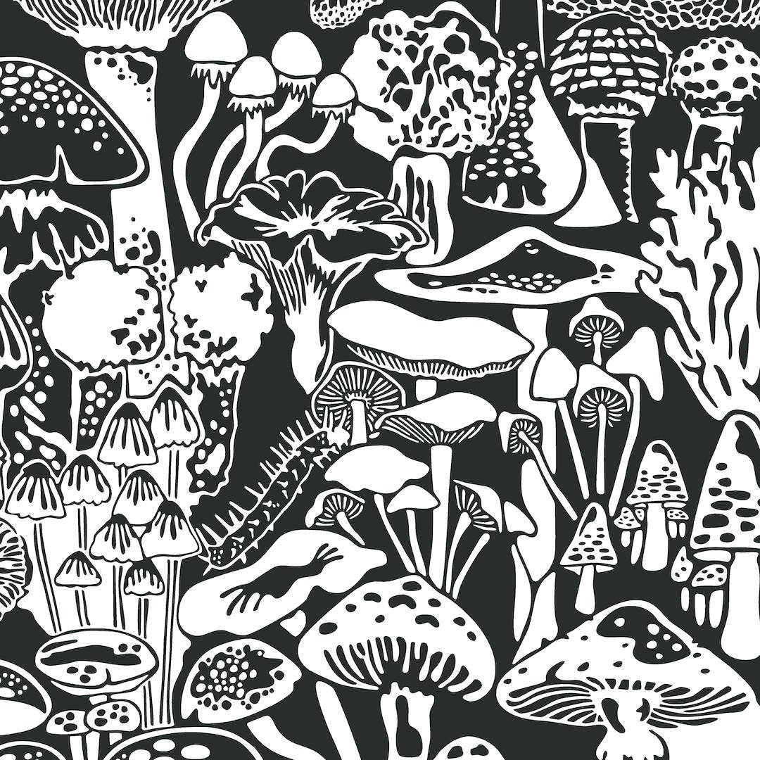 蘑菇 桌布 壁紙 — 一幅密集的黑白插圖，描繪了帶有複雜圖案和多種形狀的奇思妙想蘑菇。