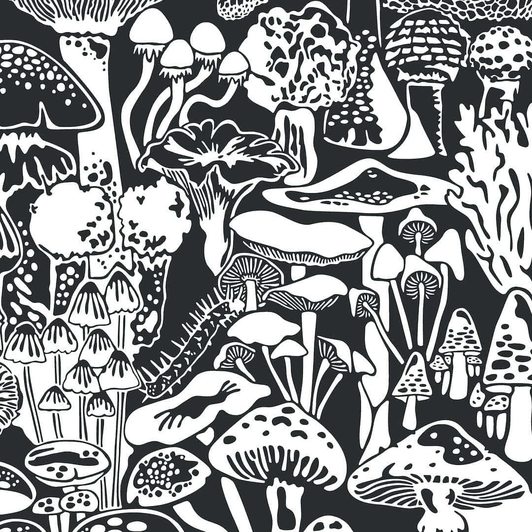 Trippy Mushrooms 桌布 壁紙 — 一幅密集的黑白插圖，描繪各種風格化的蘑菇，帶有複雜的圖案和紋理。