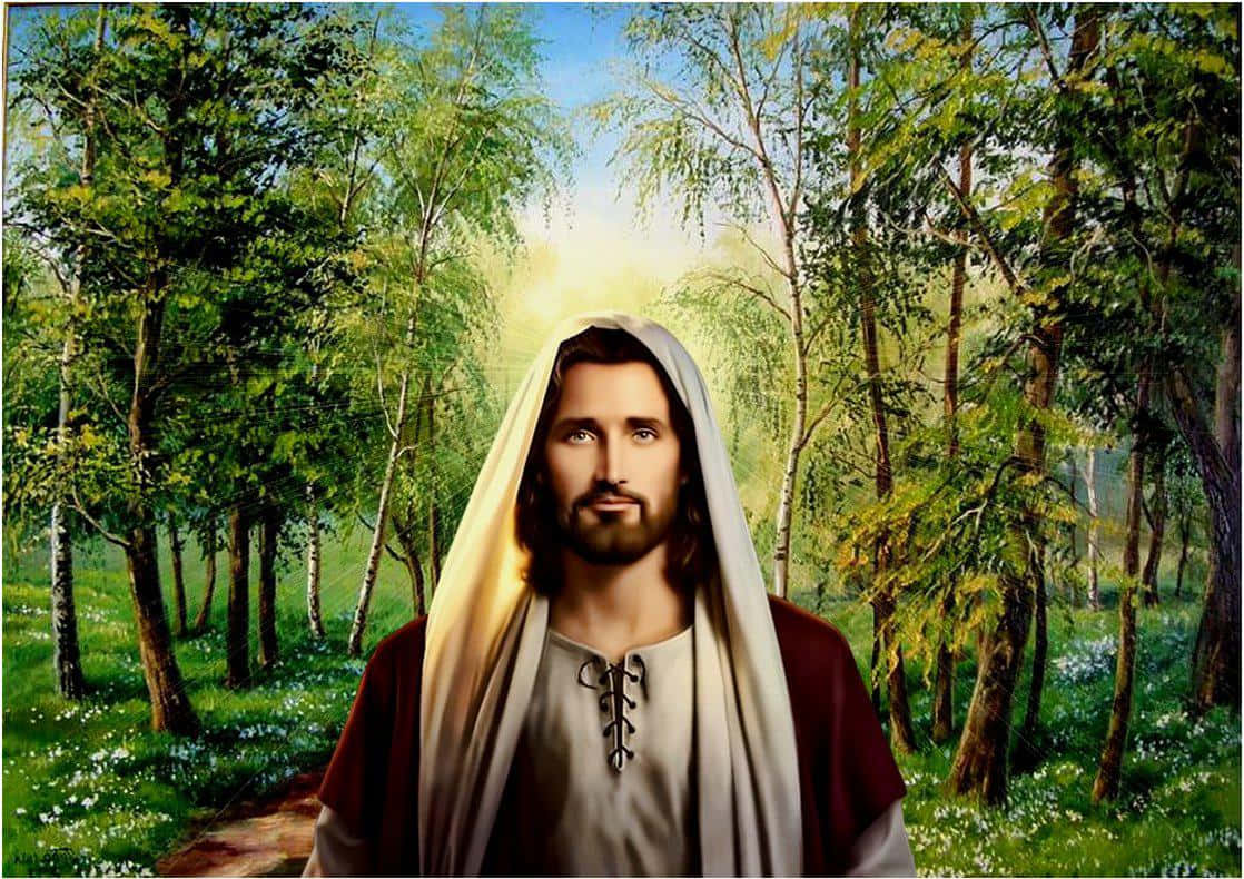 Praying 桌布 壁紙 — 一幅寧靜的描繪，耶穌基督帶著光輝的光環，站在沐浴在柔和陽光下的茂密綠色森林中。