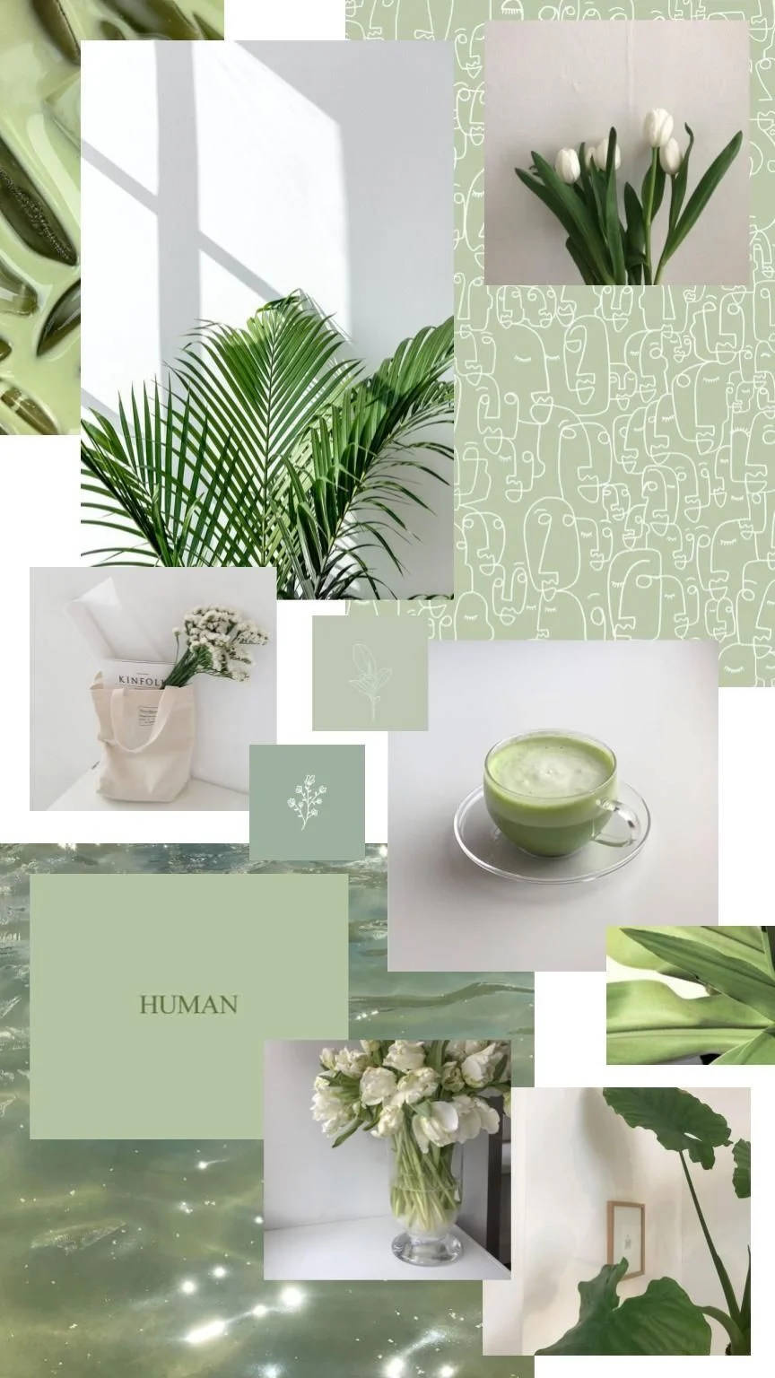 Plant Aesthetic 桌布 壁紙 — 一幅寧靜的綠色調拼貼畫，以植物、鬱金香、抹茶和抽象圖案為特色，在柔和自然光下呈現。