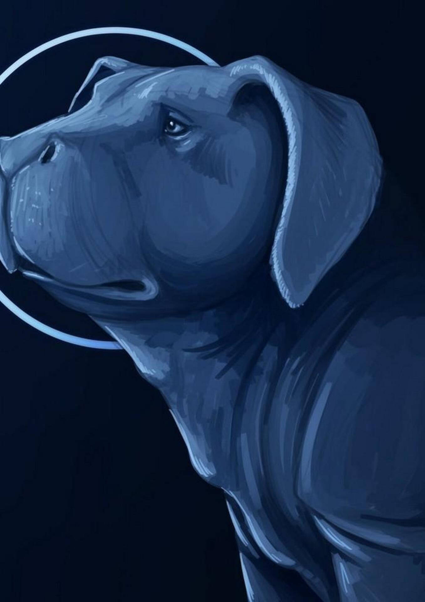 okja 桌布 壁紙 — 一幅寧靜的藍色調插圖，描繪狗頭在黑暗背景上帶有發光光環。
