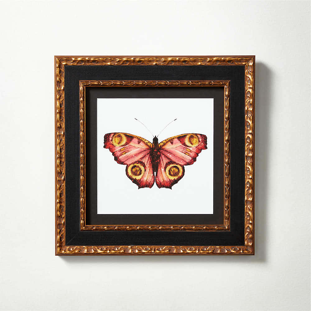 Butterfly Metamorphosis 桌布 壁紙 — 一幅帶有金色眼斑的粉紅色蝴蝶水彩畫裱框掛在素牆上。