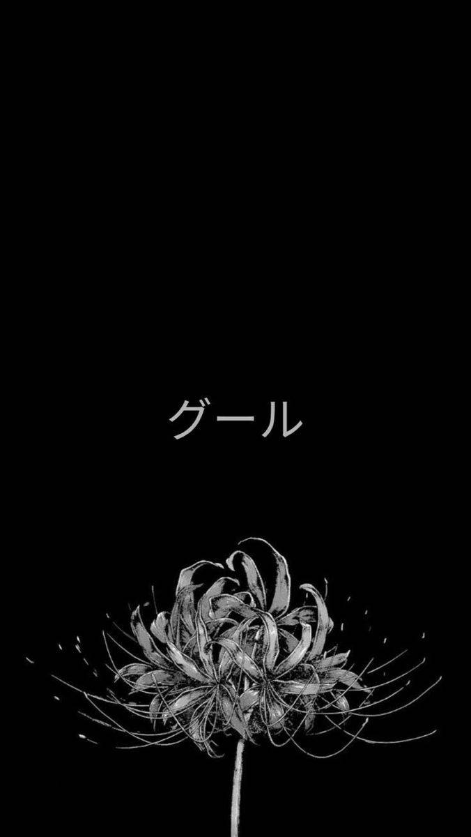 東京喰種 桌布 壁紙 — 一幅強烈的黑白插圖，描繪了蜘蛛百合，花瓣精緻，雄蕊修長，背景為純黑色。