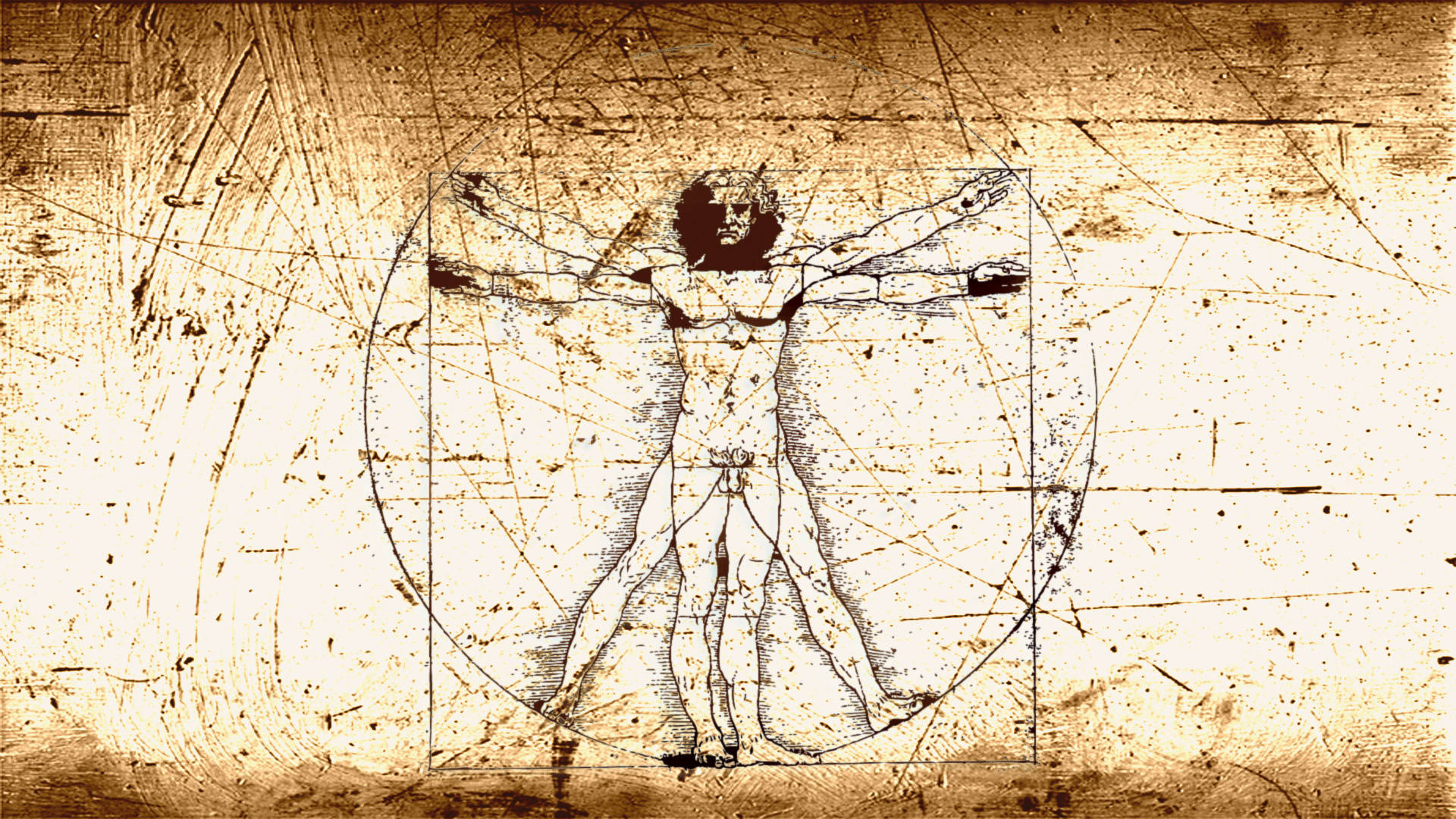 Leonardo Da Vinci 桌布 壁紙 — 一幅復古懷舊的棕褐色維特魯威人繪圖，帶有幾何線條，背景為風化羊皮紙。