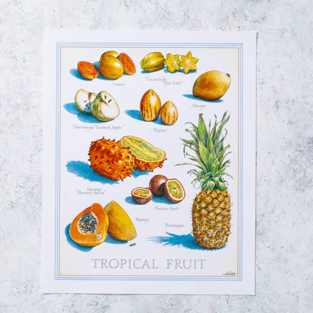 Fruit 桌布 壁紙 — 一幅復古風格的水彩插圖，描繪了各種熱帶水果，貼有標籤並排列在白色紙張上，背景為帶紋理的灰色。