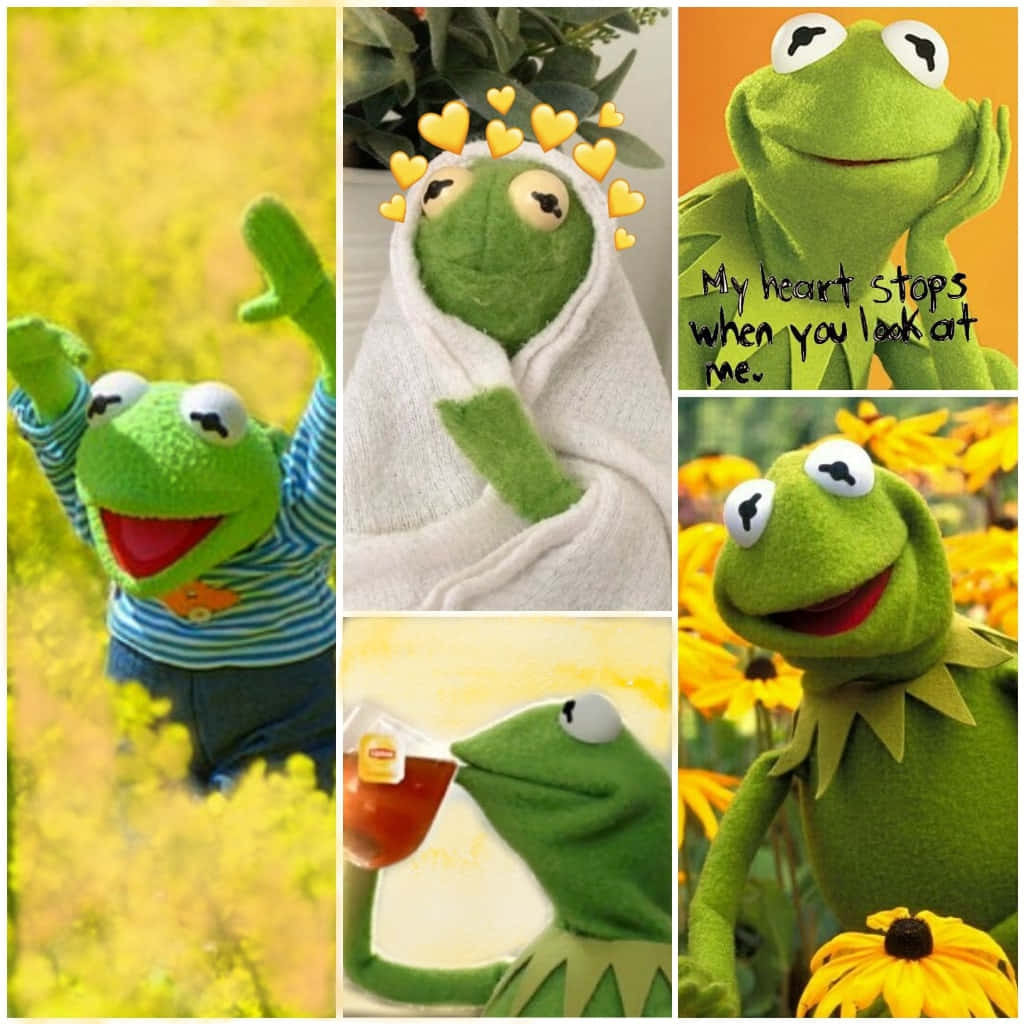 Aesthetic Frog 桌布 壁紙 — 一幅快樂的拼貼畫，展示科米蛙在各種可愛姿勢中，被黃色花朵和心形包圍。