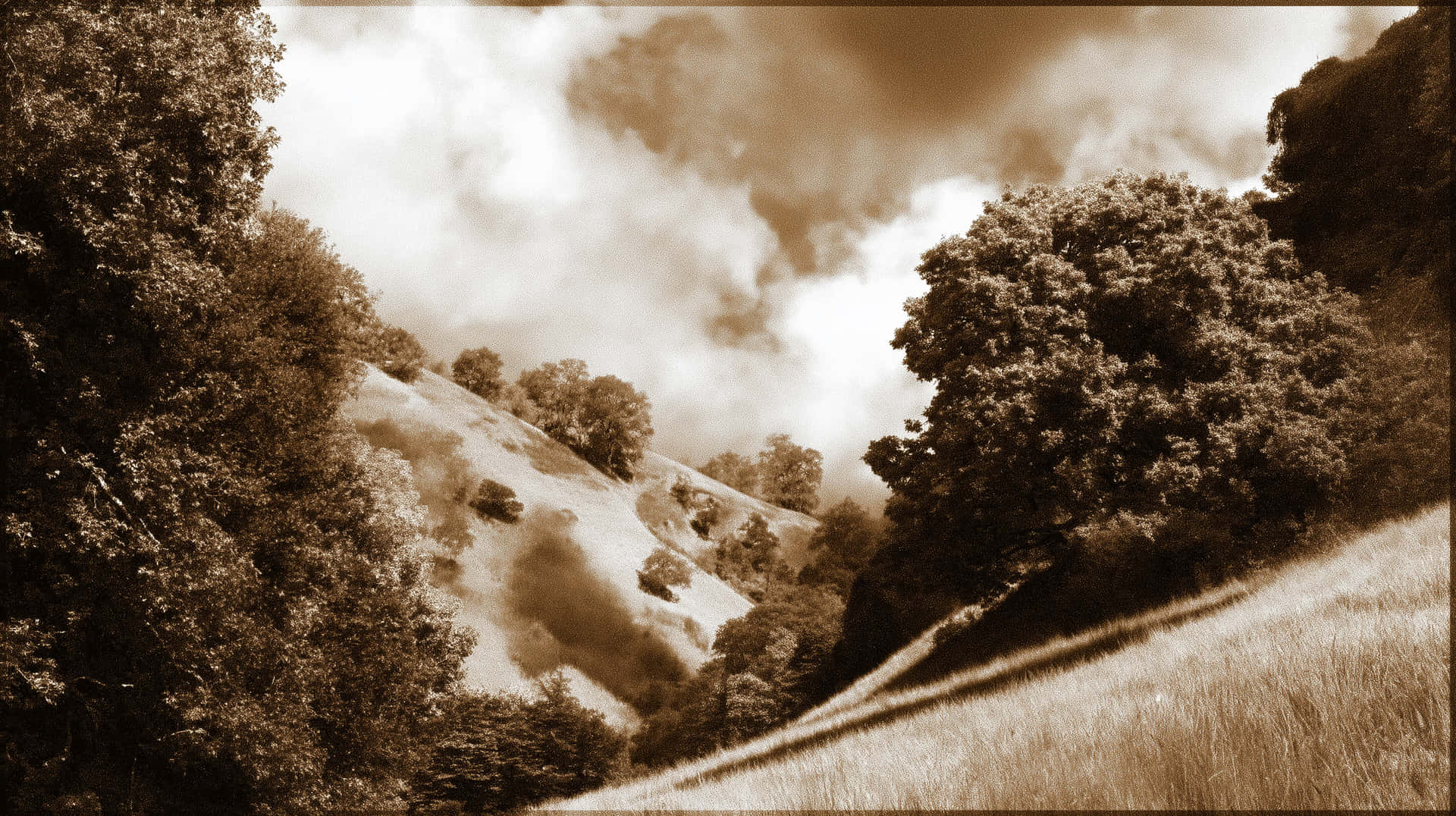Dramatic Sepia Hills with Scattered Trees & Cloudy Sky 壁紙 — 一幅懷舊棕色調的風景，展示在陰天之下，連綿起伏的山丘兩旁長滿茂密的樹木。