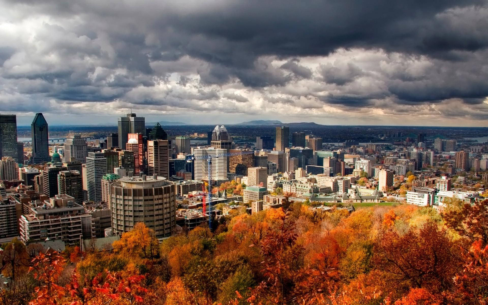 蒙特婁 桌布 壁紙 — 一幅戲劇性的秋日城市景觀，前景是火紅的樹葉，摩天大樓上空籠罩著暴風雨的天空。