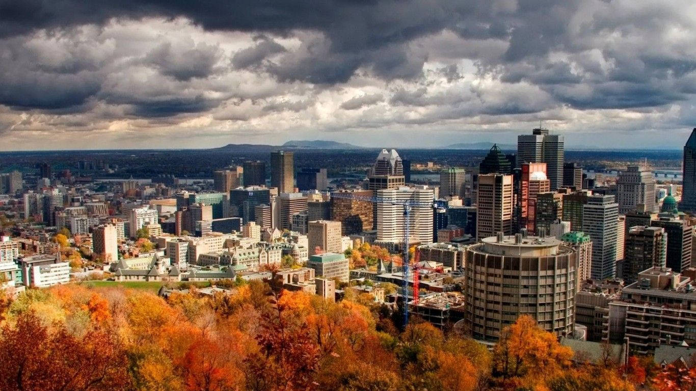 城市 桌布 壁紙 — 一幅戲劇性的秋日城市景觀，前景是火紅的橙色樹木，高聳的摩天大樓在陰沉的暴風雲下。