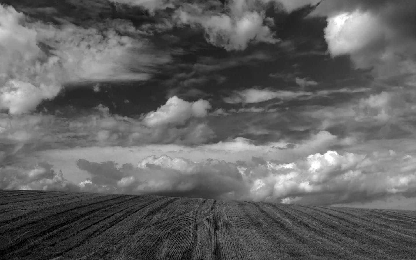 Black And White Sky 桌布 壁紙 — 一幅戲劇性的黑白風景，廣闊的犁過的田野延伸向充滿濃密雲層的動盪天空。