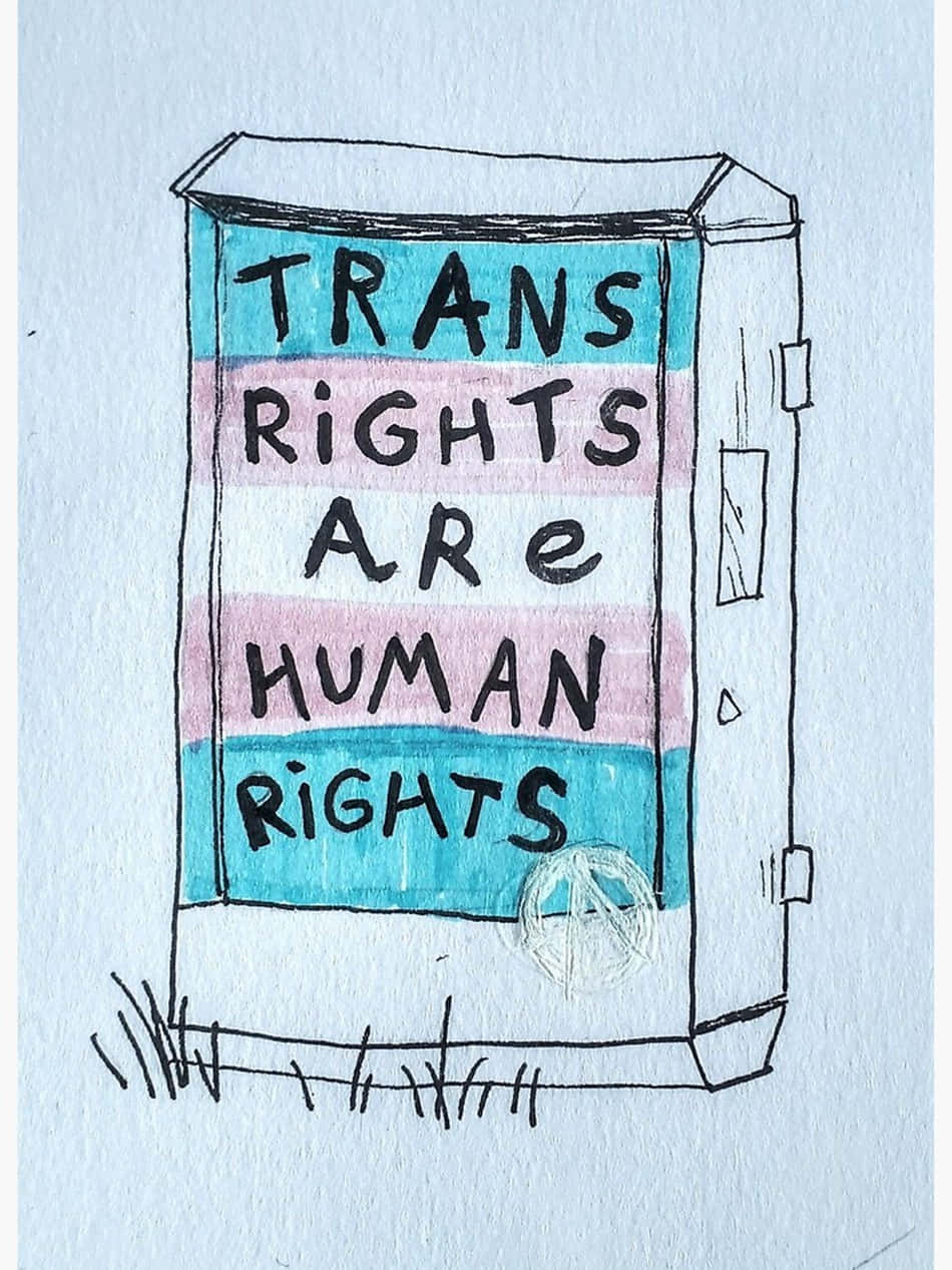 transgender 桌布 壁紙 — 一幅手繪插圖，描繪一台塗上跨性別旗幟的販賣機，並以粗體文字宣示跨性別權利就是人權。