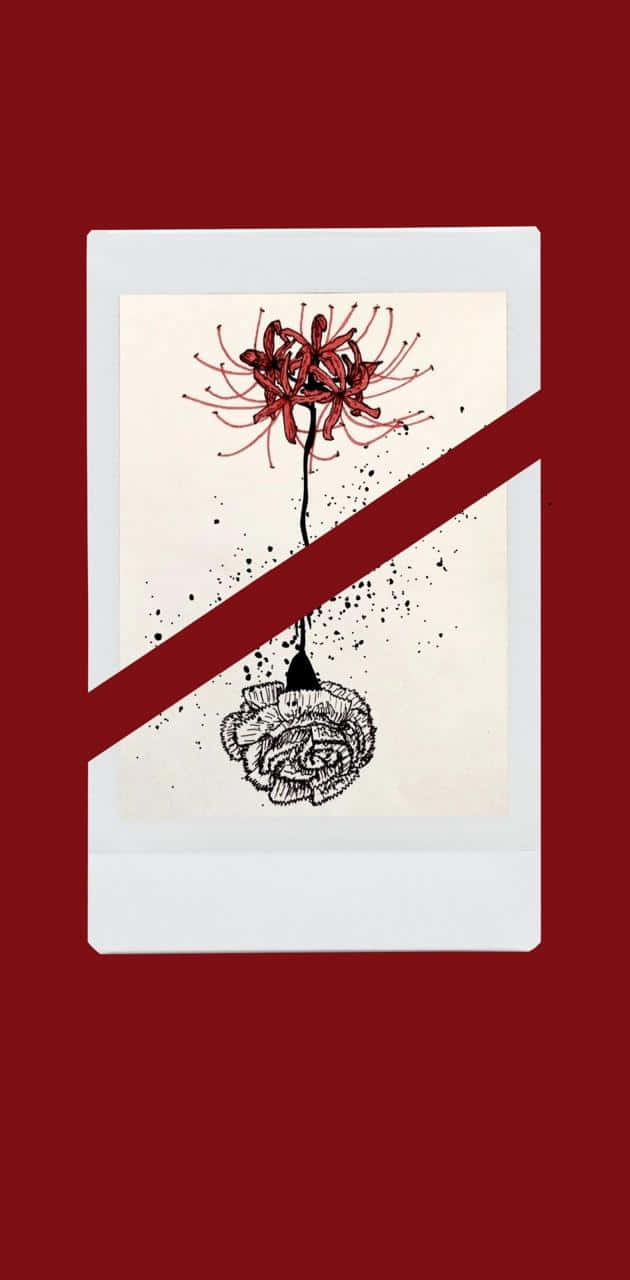 東京喰種 桌布 壁紙 — 一幅拍立得風格的插圖，描繪了一朵紅色蜘蛛百合，下方有一朵黑色墨水玫瑰，背景為大膽的紅色，帶有對角斜線。
