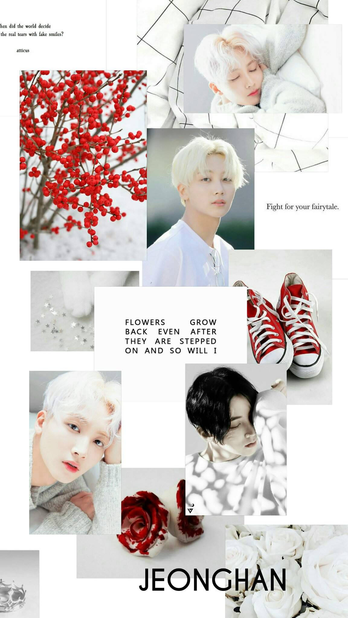 yoon jeonghan 桌布 壁紙 — 一幅拼貼畫，描繪一位白髮年輕男子、紅色漿果、紅色運動鞋和白色玫瑰，背景為極簡網格。