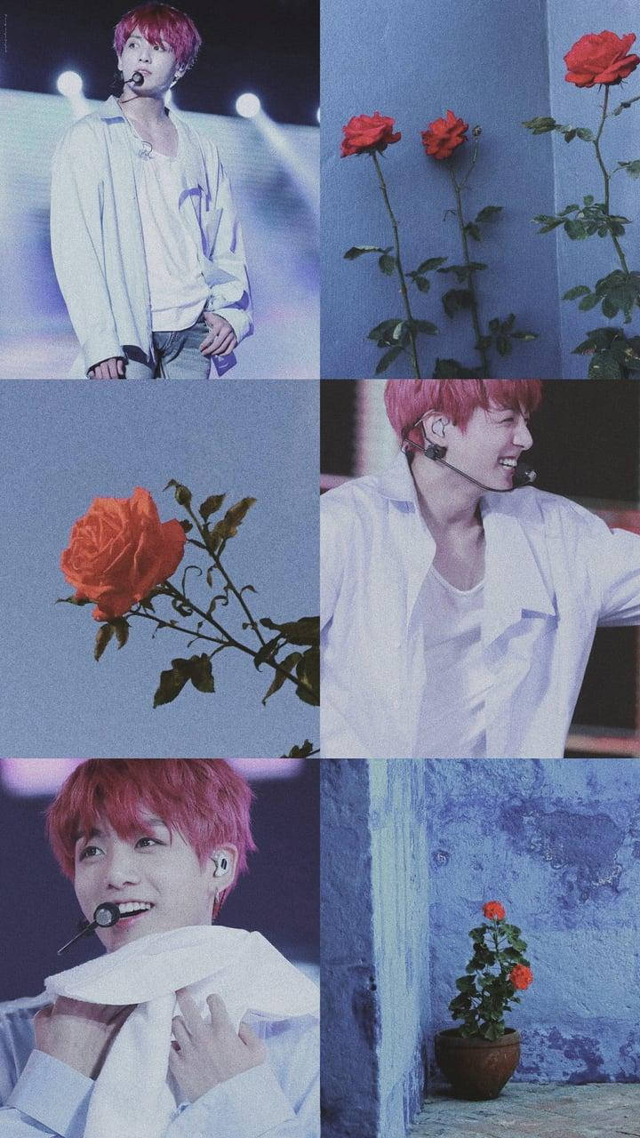 Jungkook Aesthetic 桌布 壁紙 — 一幅拼貼畫，描繪一位粉紅頭髮的表演者，身穿白色服裝，手持紅玫瑰，背景為藍色牆壁。