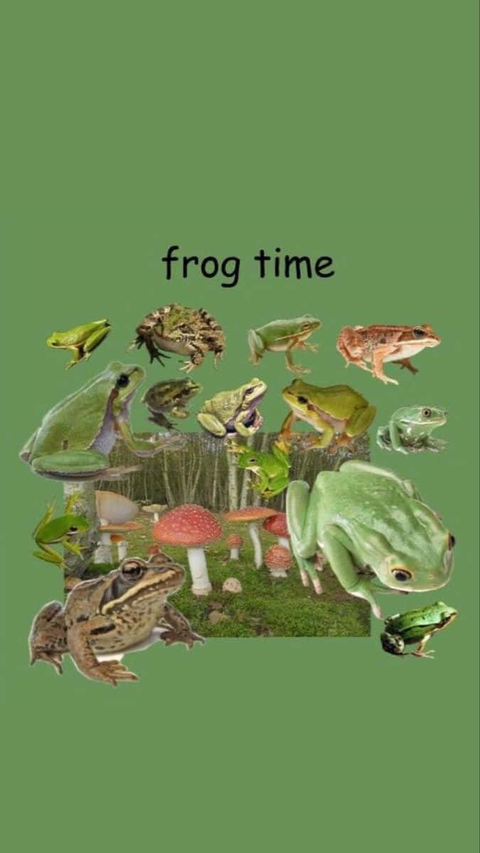 Frog 桌布 壁紙 — 一幅拼貼畫，描繪各種青蛙和蟾蜍聚集在長滿苔蘚的森林場景中的紅色蘑菇周圍。