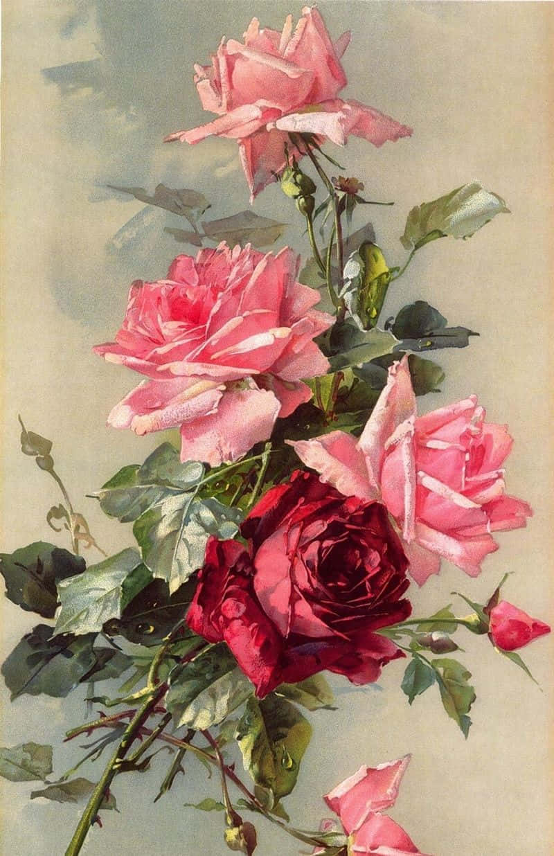 Vintage Rose 桌布 壁紙 — 一幅柔和灰色背景上，粉紅與深紅玫瑰搭配翠綠葉片的精緻水彩畫。