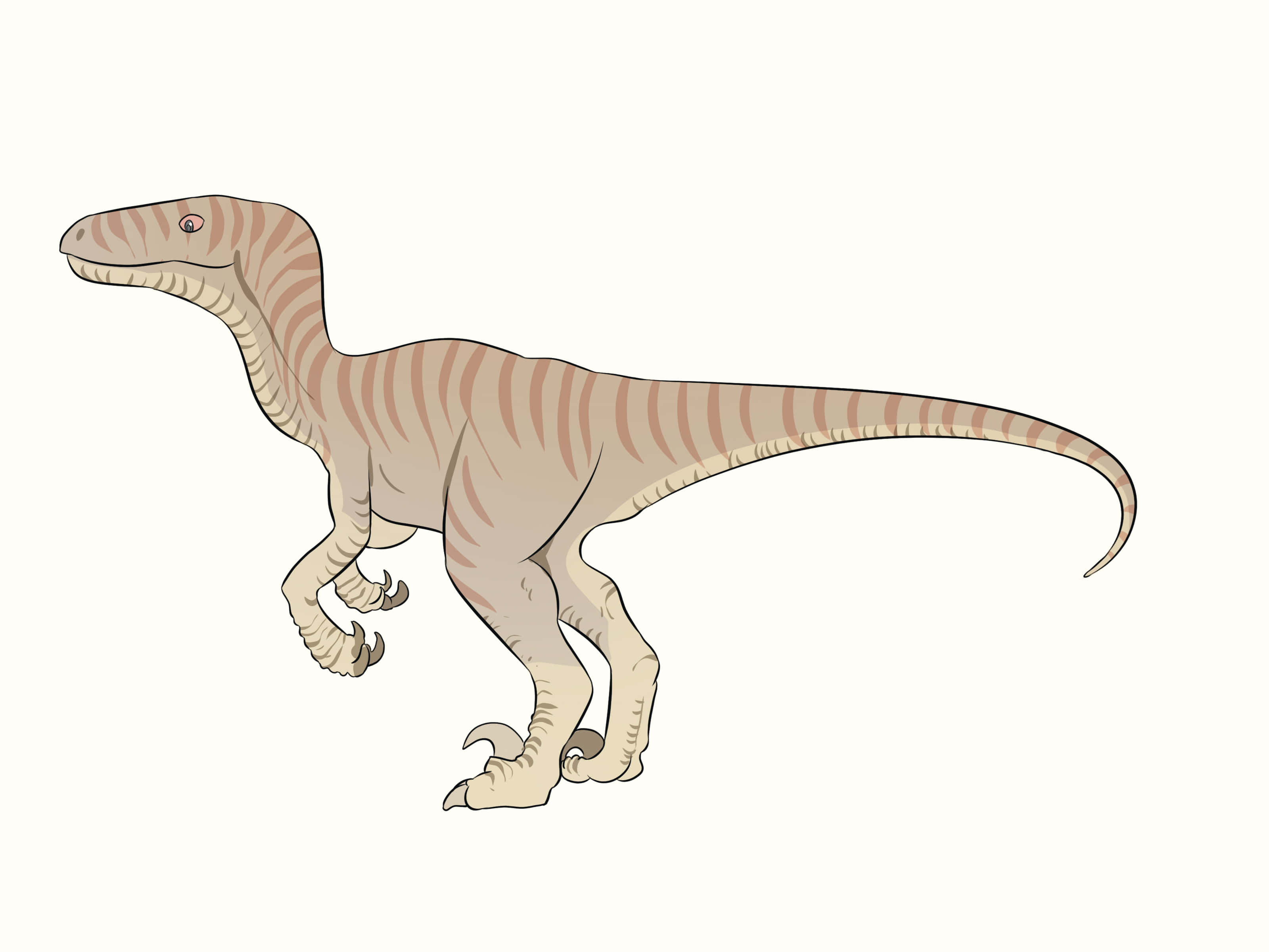 Dinosaur Drawing 桌布 壁紙 — 一幅條紋迅猛龍恐龍插圖，在純色背景前警覺地站立，帶有詳細的爪子和彎曲的尾巴。