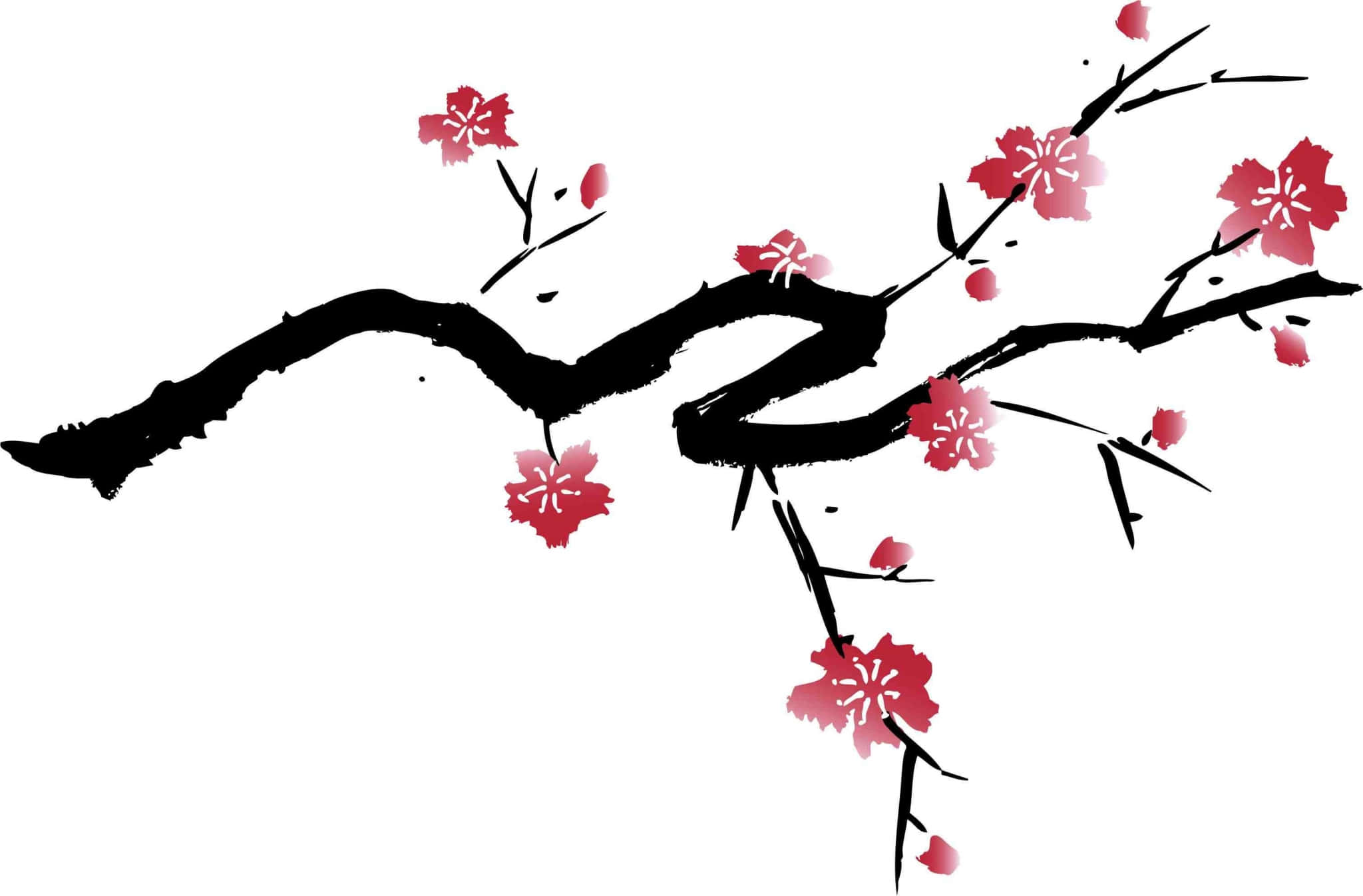 Cool Japanese Tree 桌布 壁紙 — 一幅極簡主義水墨畫，描繪彎曲的黑色櫻花枝條，上面有鮮豔的紅色花朵，背景為純白色。