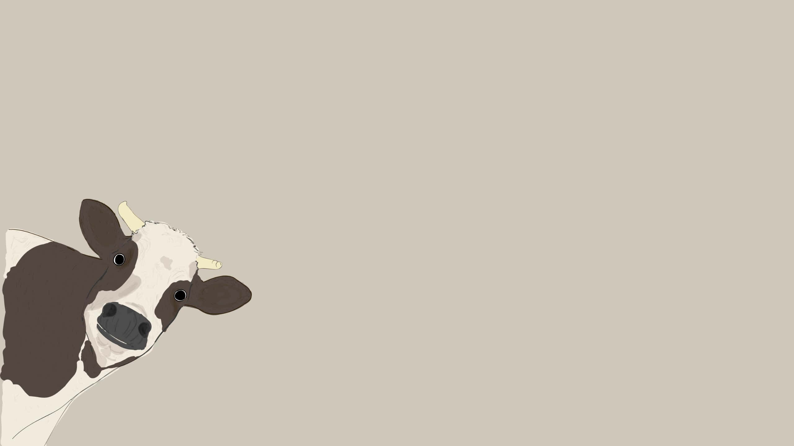 Aesthetic Cow 桌布 壁紙 — 一幅極簡插圖，描繪一頭黑白相間的牛從左側探出頭來，背景為純米色。