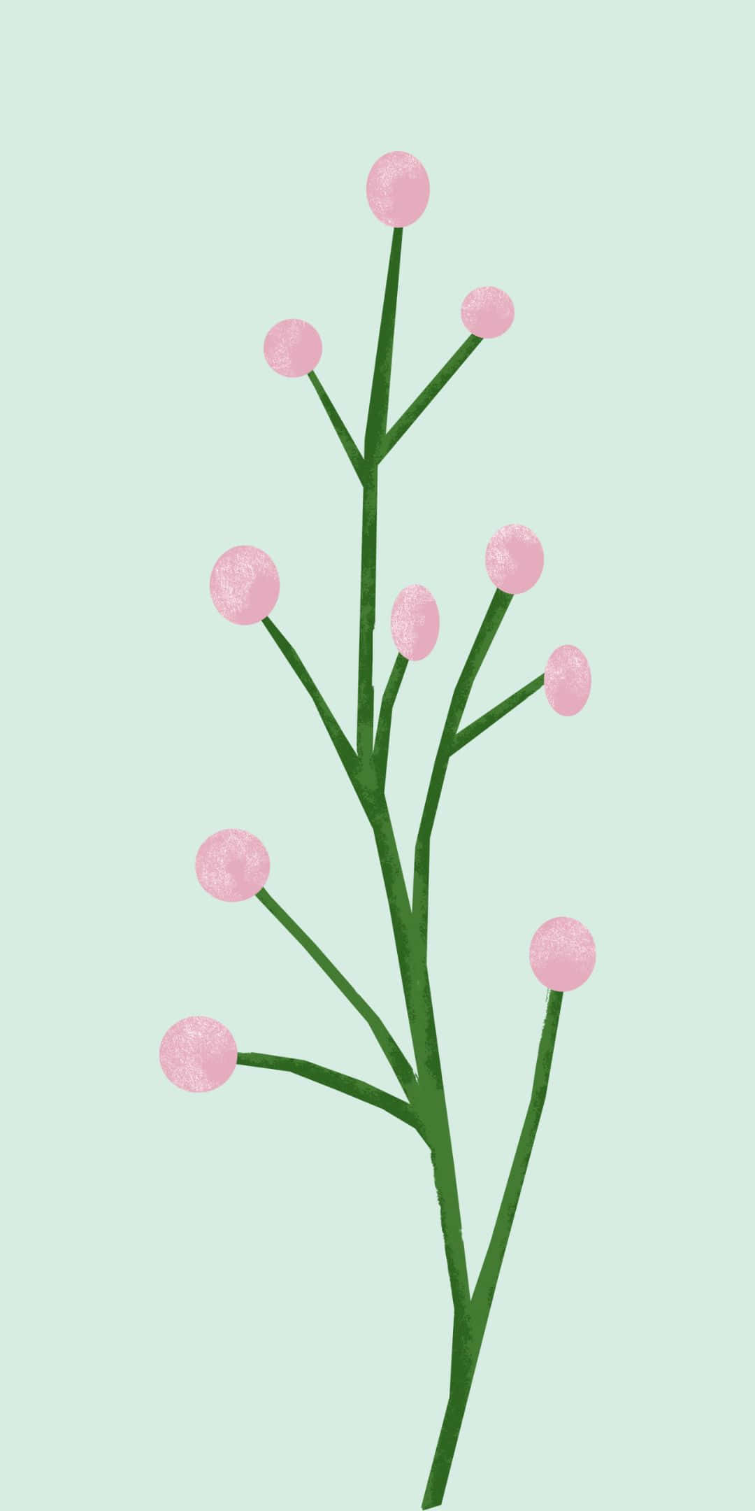 Pixel 3 桌布 壁紙 — 一幅極簡插圖，描繪綠色莖幹上帶有粉紅色球形花蕾，背景為柔和薄荷色。