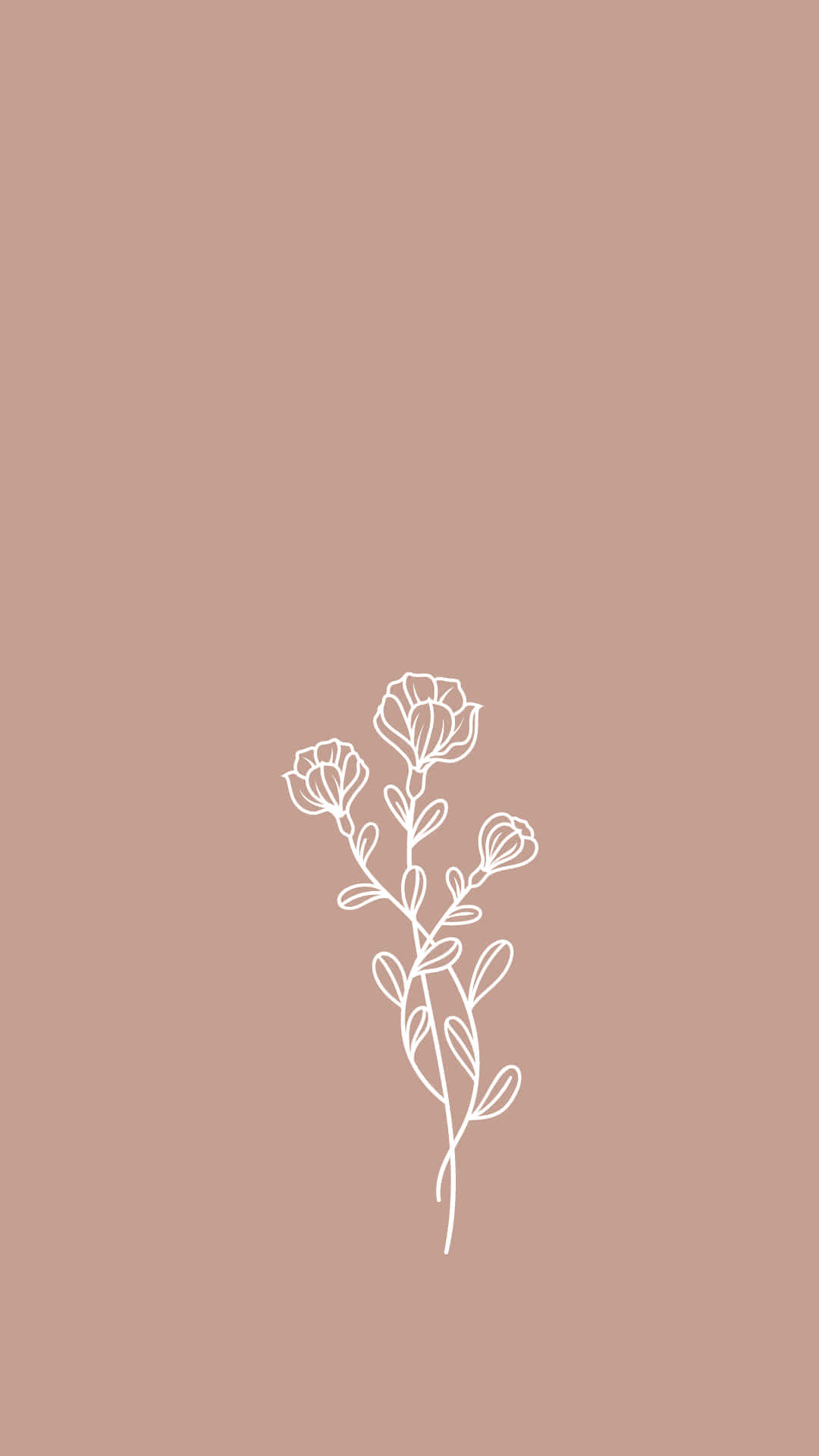 Flower Phone 桌布 壁紙 — 一幅極簡白色線條畫，描繪精緻的花莖，帶有花蕾和葉子，居中於柔和陶土色背景上。