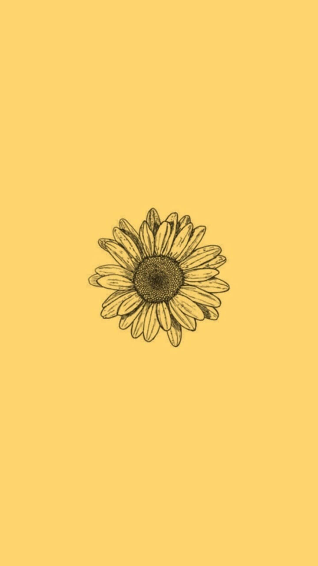 Sunflower Aesthetic iPhone 桌布 壁紙 — 一幅極簡線條藝術向日葵素描，居中於純色暖黃色背景上。