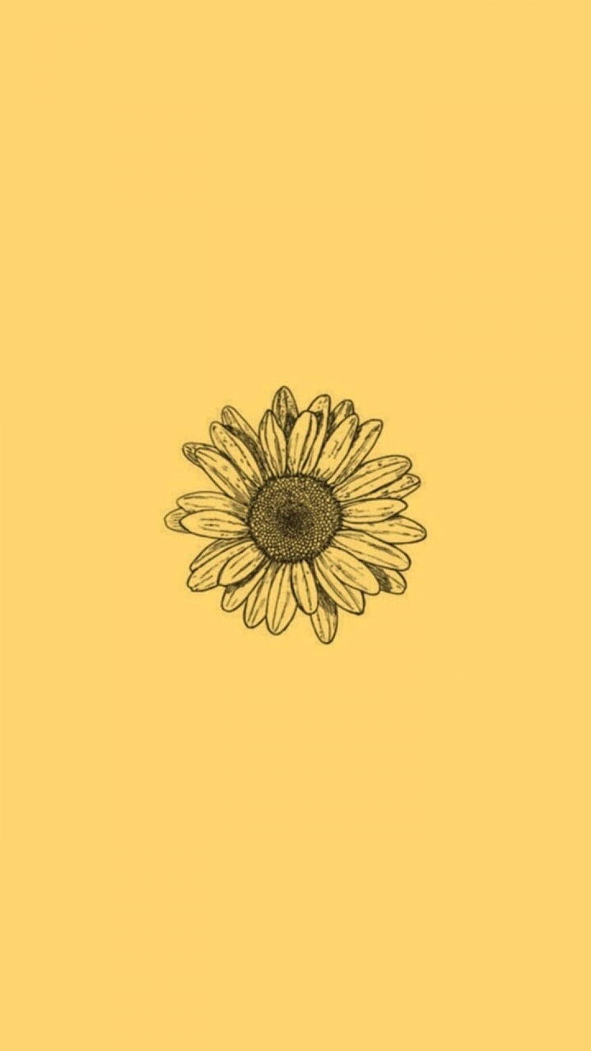 Cute Yellow Aesthetic 桌布 壁紙 — 一幅極簡風格的手繪向日葵插圖，置中於純色暖黃色背景上。