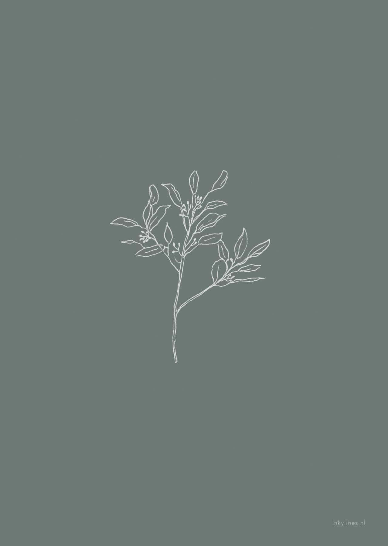 Plant 桌布 壁紙 — 一幅極簡風格的白色線條畫，以葉子茂密的樹枝為中心，置於柔和的鼠尾草綠色背景上。
