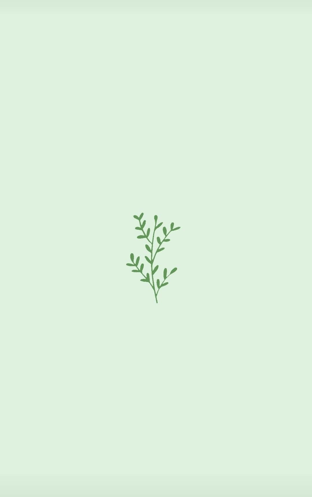 綠色美學 桌布 壁紙 — 一幅極簡風格的綠色樹枝插圖，置於柔和的薄荷色背景中央。