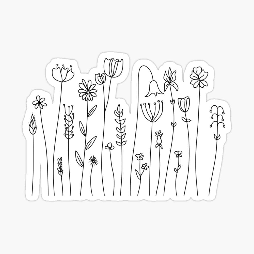 Black And White Drawings 桌布 壁紙 — 一幅極簡風格的黑線畫，描繪了多種野花，莖幹纖細，花朵各異，背景為純白色。
