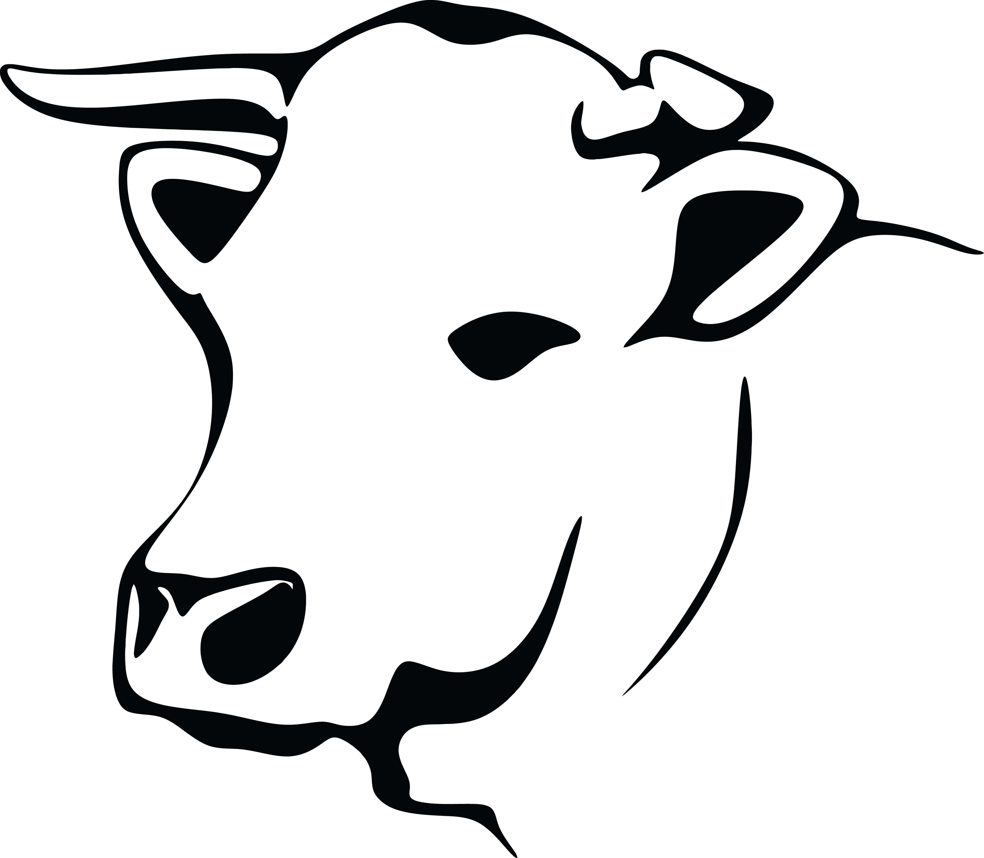 Black And White Cow 桌布 壁紙 — 一幅極簡風格的黑色線條藝術插圖，描繪側面的牛頭，背景為白色。