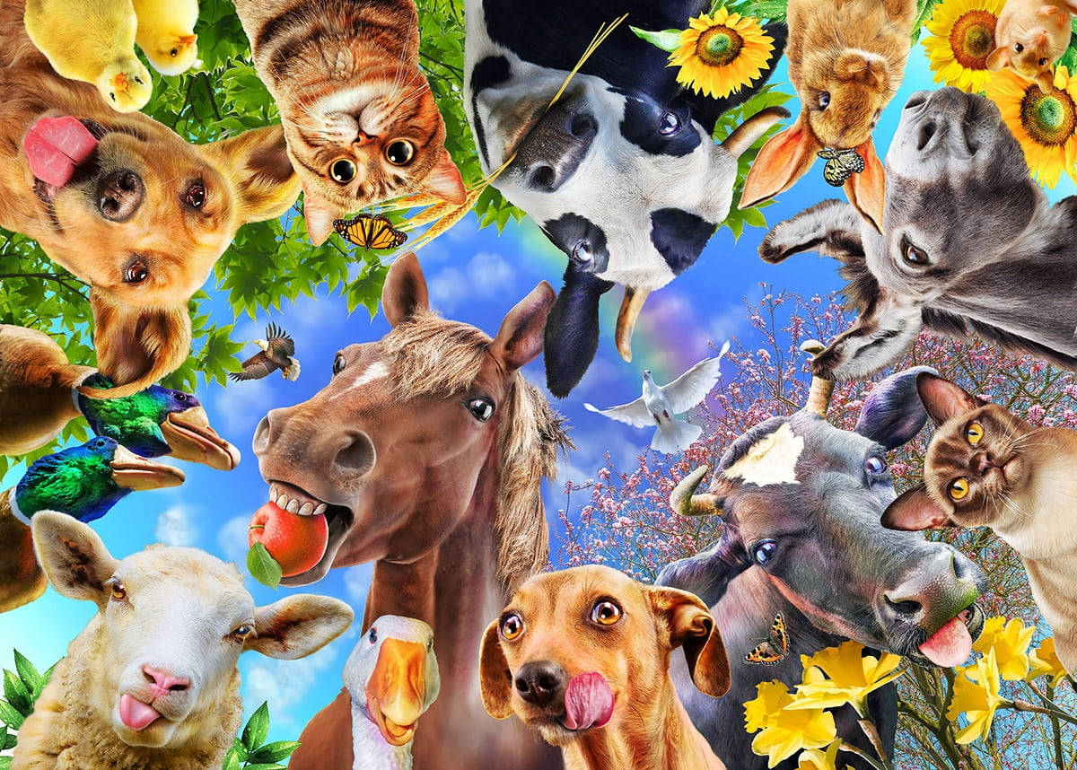 farm animals 桌布 壁紙 — 一幅歡樂的拼貼畫，描繪馬、牛、貓、狗等多種動物在明亮的藍天下，頑皮地從向日葵和樹木中探出頭來。