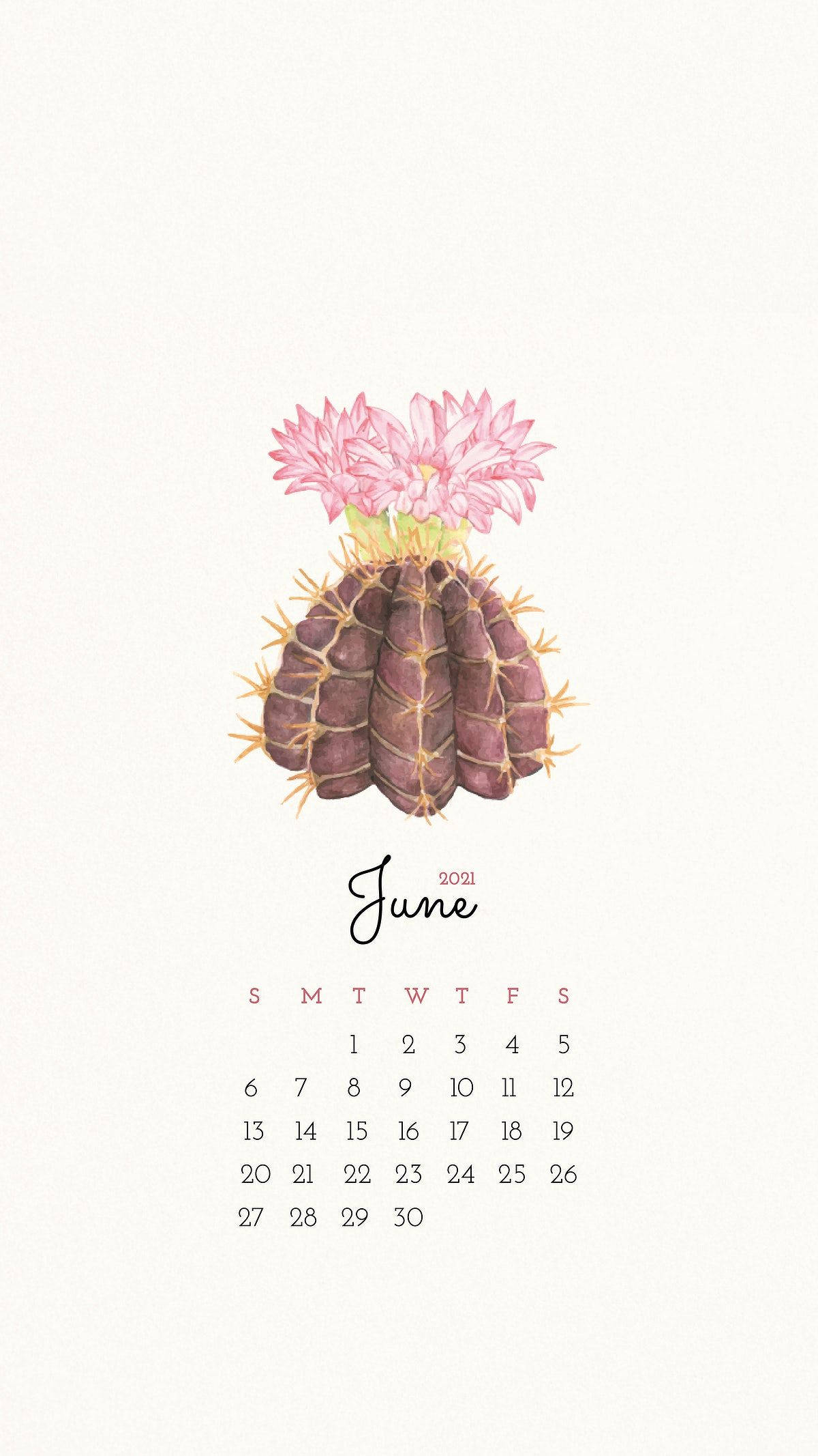 June 桌布 壁紙 — 一幅水彩插圖，描繪一朵盛開的紫色仙人掌，上面有粉紅色花朵，位於2021年6月日曆上方。