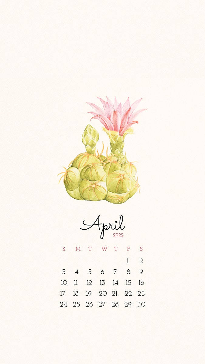 April 桌布 壁紙 — 一幅水彩插圖，描繪一棵盛開的綠色仙人掌，帶有粉紅色花朵，位於2022年4月日曆上方，背景為奶油色。