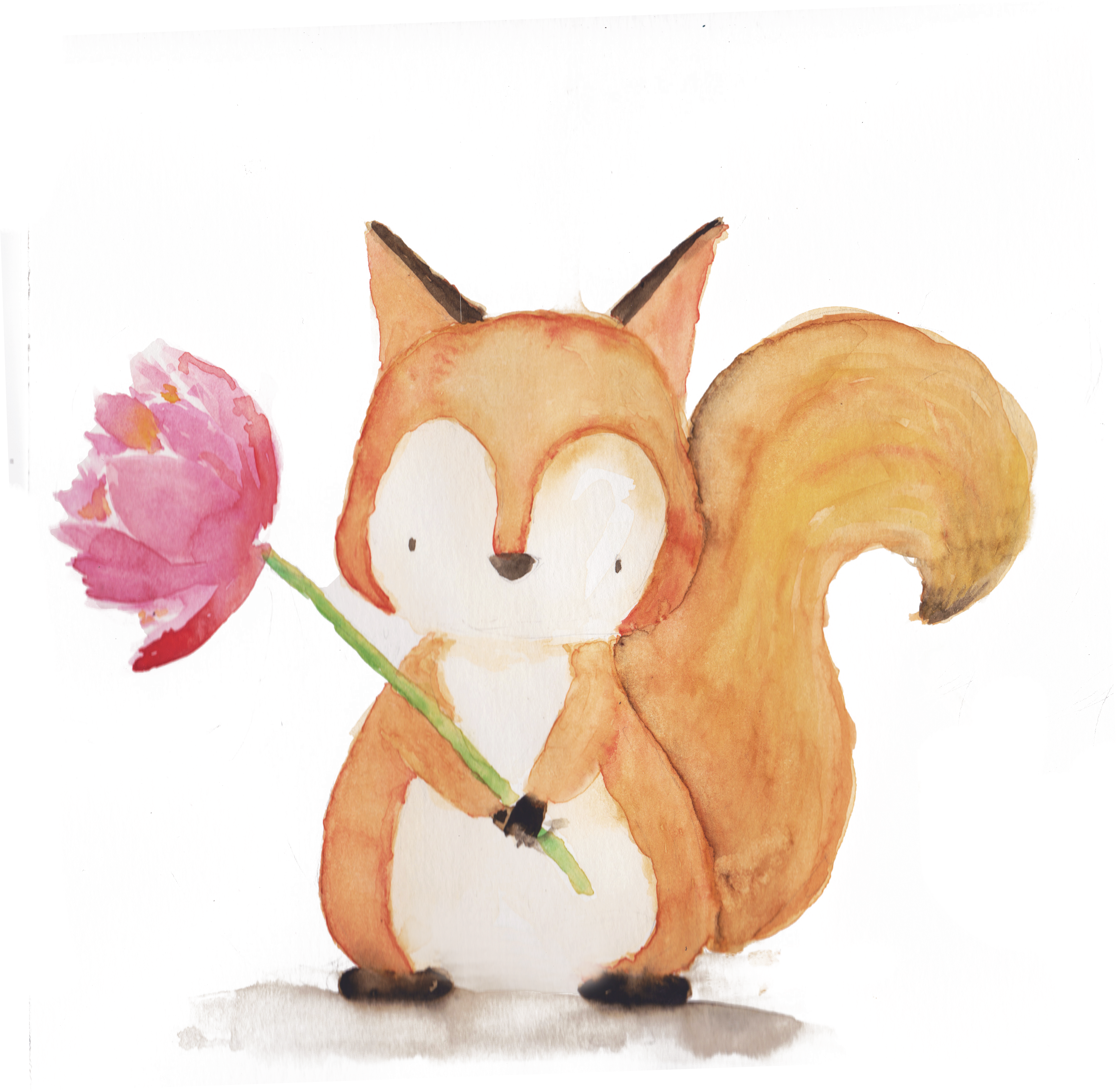 松鼠 桌布 壁紙 — 一幅水彩插圖，描繪一隻可愛的橙色狐狸拿著一朵粉紅色的花，背景是帶紋理的黑白色。